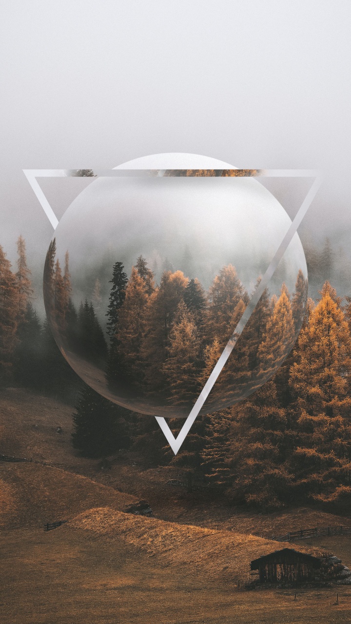 Обои осень, растение, окружающая среда, ветвь, природный ландшафт в разрешении 720x1280