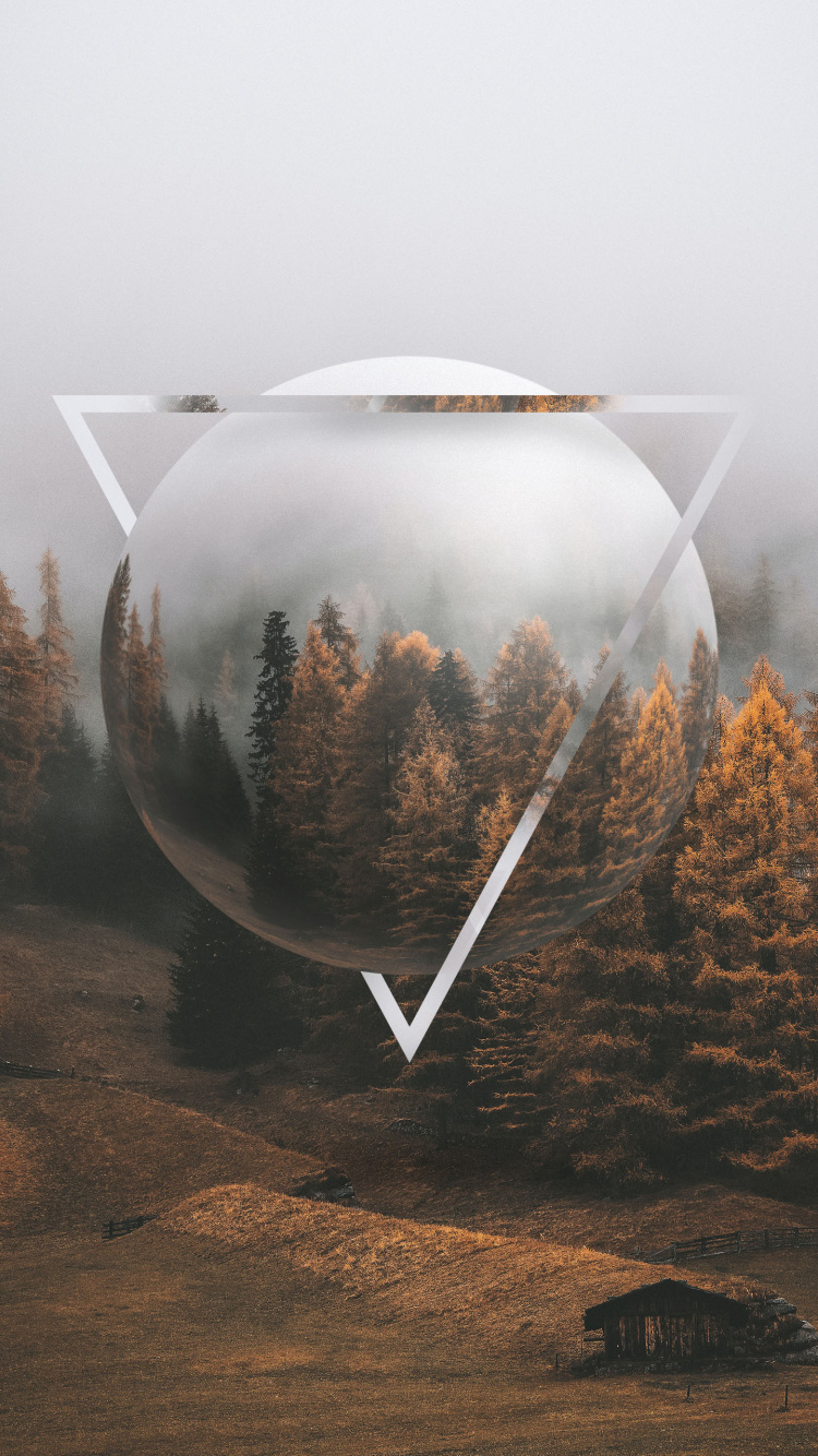 Обои осень, растение, окружающая среда, ветвь, природный ландшафт в разрешении 750x1334