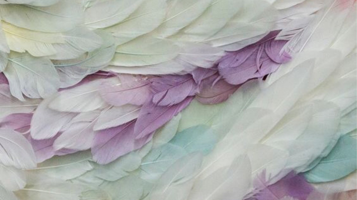 Обои лепесток, цветок, арт, текстура, пион в разрешении 1366x768