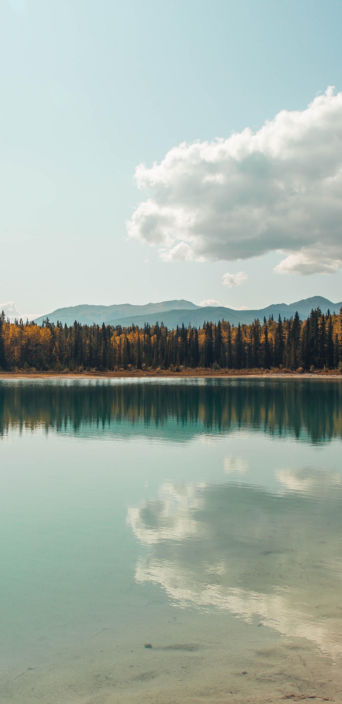 Обои водоем, природа, отражение, вода, природный ландшафт в разрешении 1440x2960