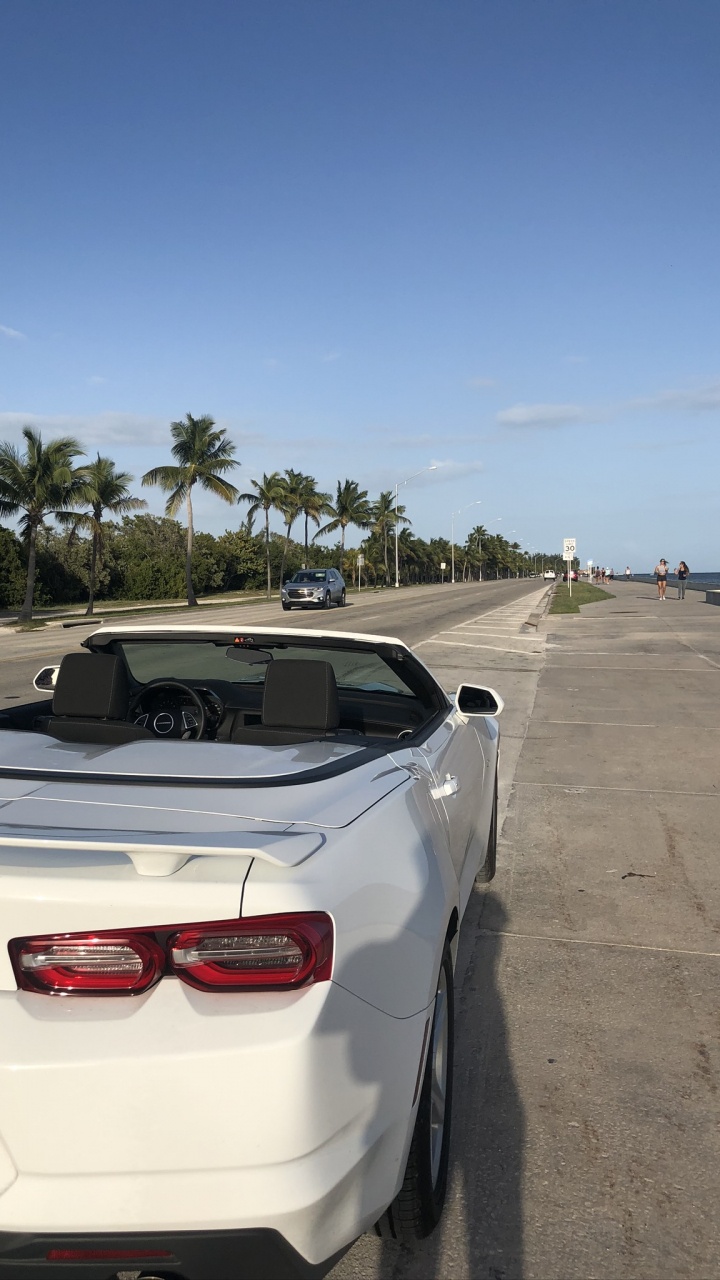 Обои Шевроле камаро, Король, автомобиль среднего размера, автомобильное освещение, автомобильный экстерьер в разрешении 720x1280