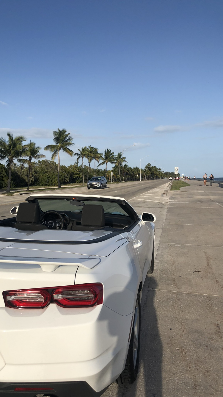 Обои Шевроле камаро, Король, автомобиль среднего размера, автомобильное освещение, автомобильный экстерьер в разрешении 750x1334