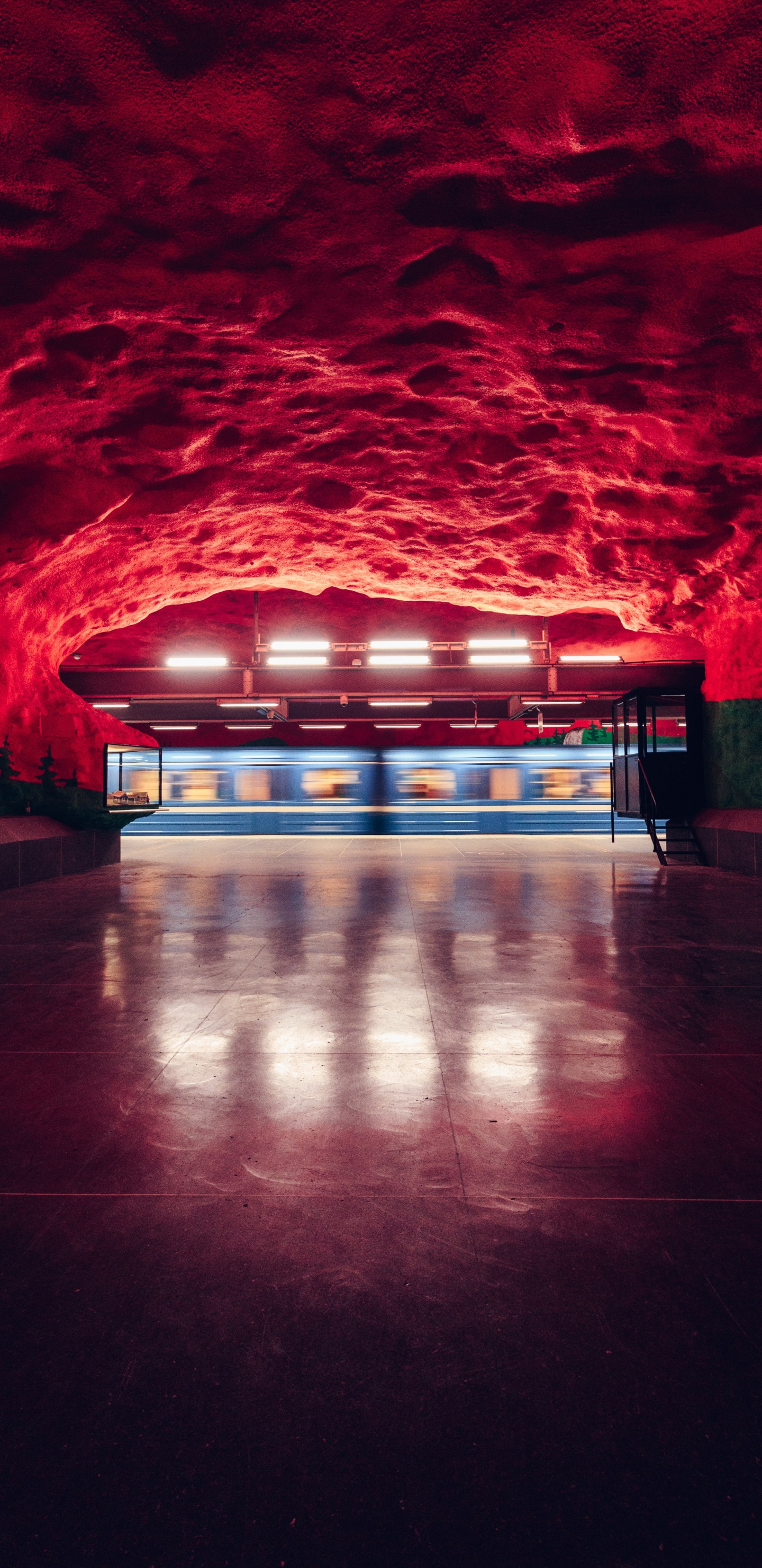 Обои ночь, освещение, красочность, этаж, дерево в разрешении 1440x2960