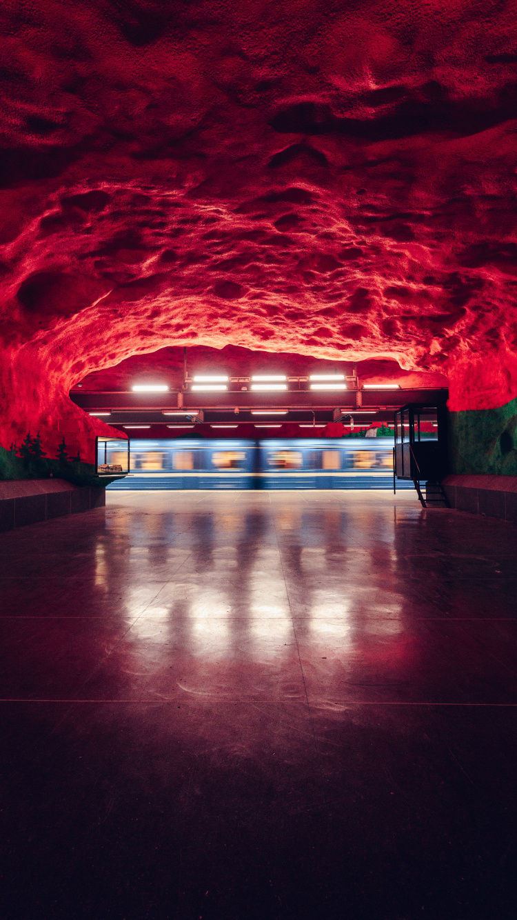 Обои ночь, освещение, красочность, этаж, дерево в разрешении 750x1334