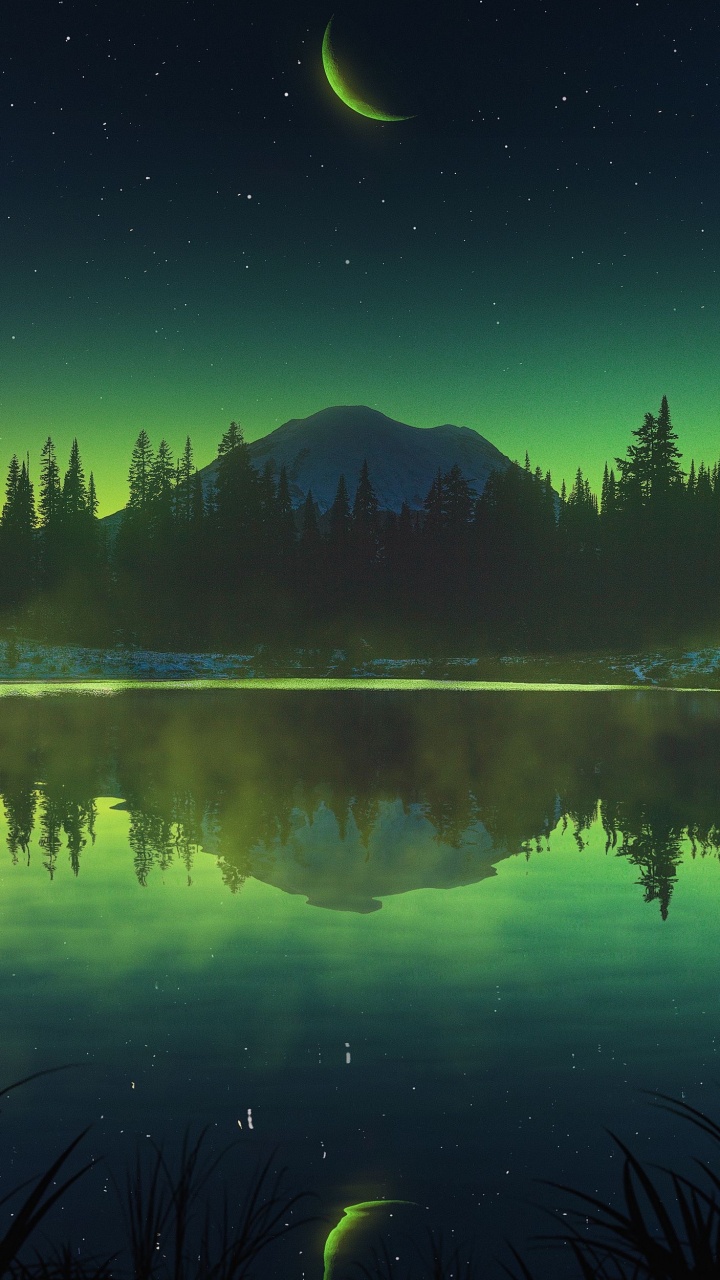 Обои отражение, пейзажная живопись, живопись, арт, эстетика в разрешении 720x1280