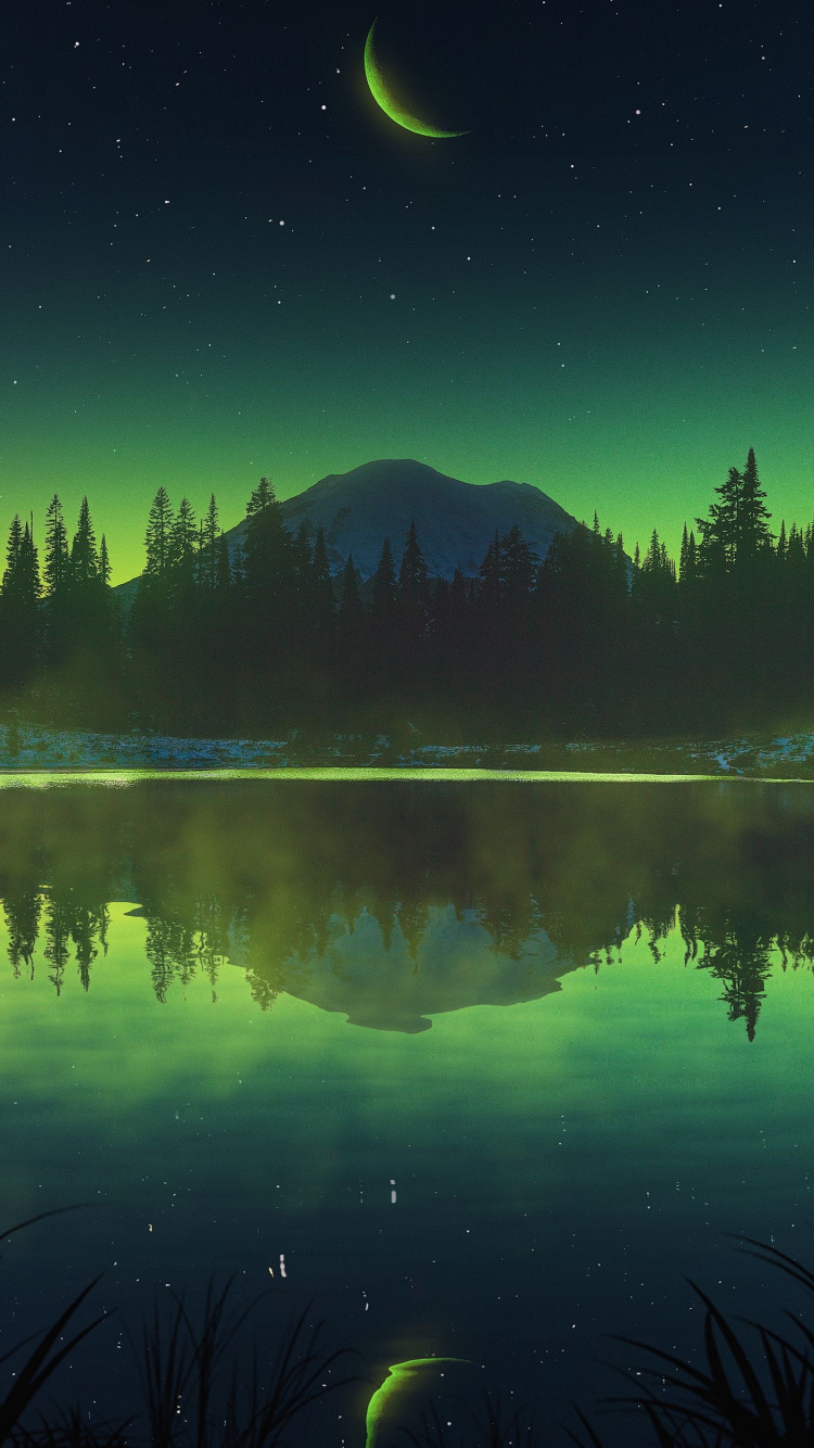 Обои отражение, пейзажная живопись, живопись, арт, эстетика в разрешении 750x1334