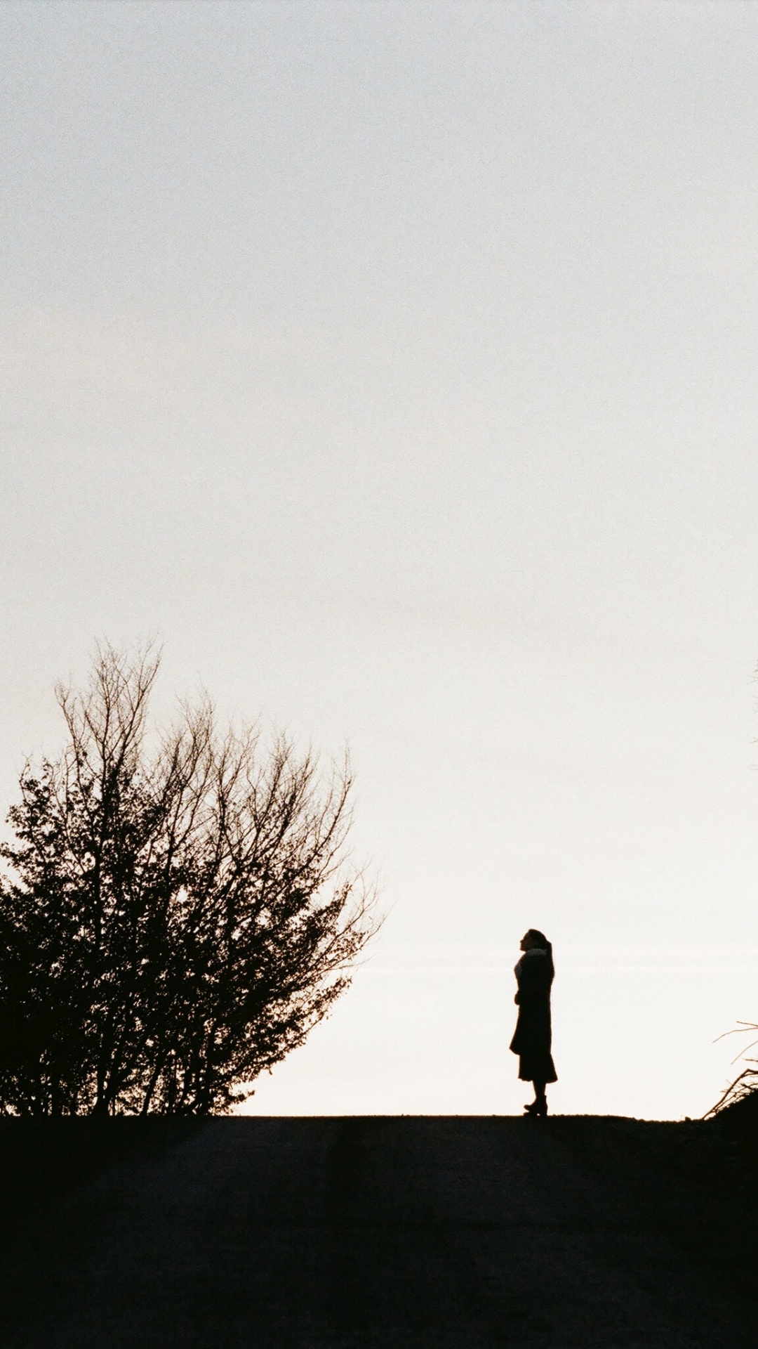 Обои Черный Белый - М, атмосфера, силуэт, утро, ветвь в разрешении 1080x1920