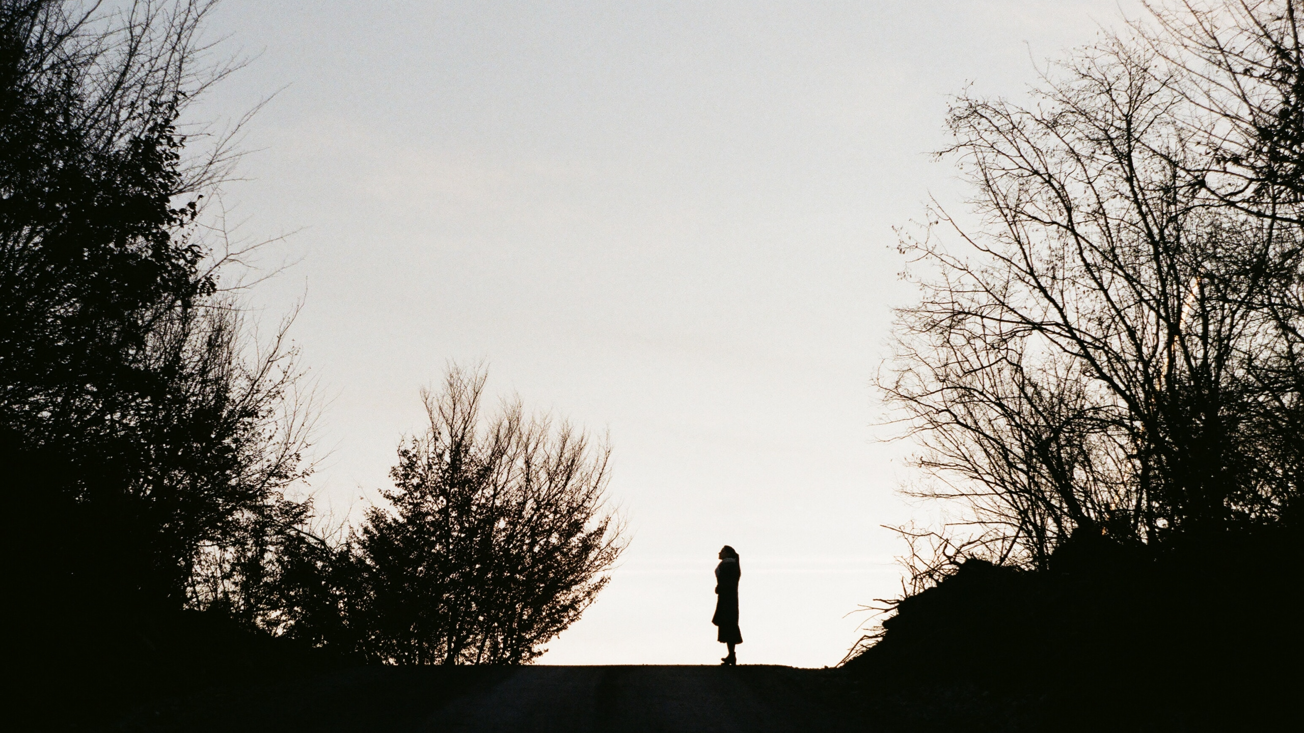 Обои Черный Белый - М, атмосфера, силуэт, утро, ветвь в разрешении 2560x1440