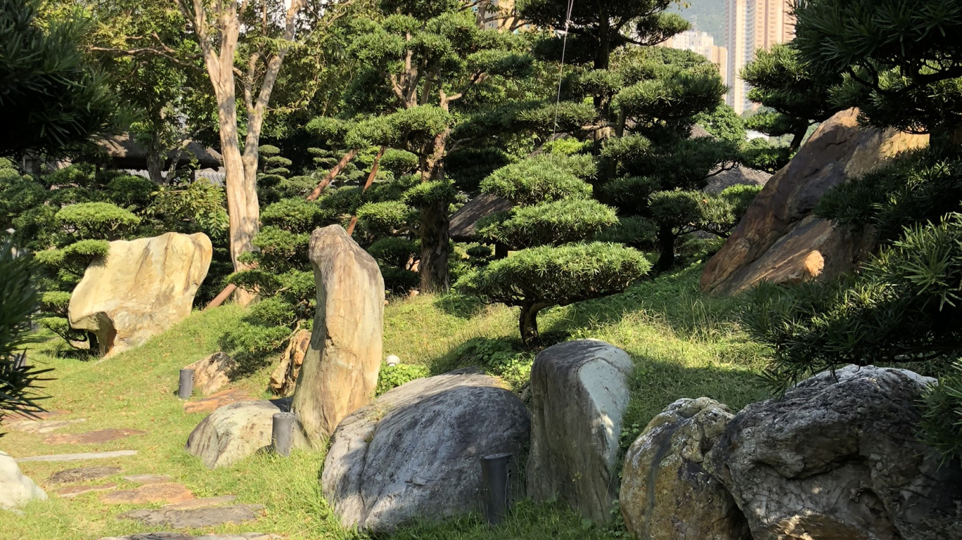 Обои Гонконг, дерево, сад, растение, рок в разрешении 1366x768