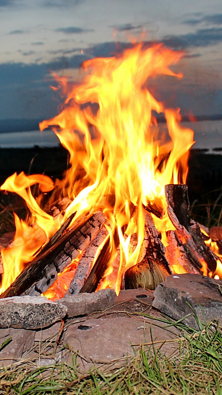 Обои огонь, костер, тепло в разрешении 750x1334