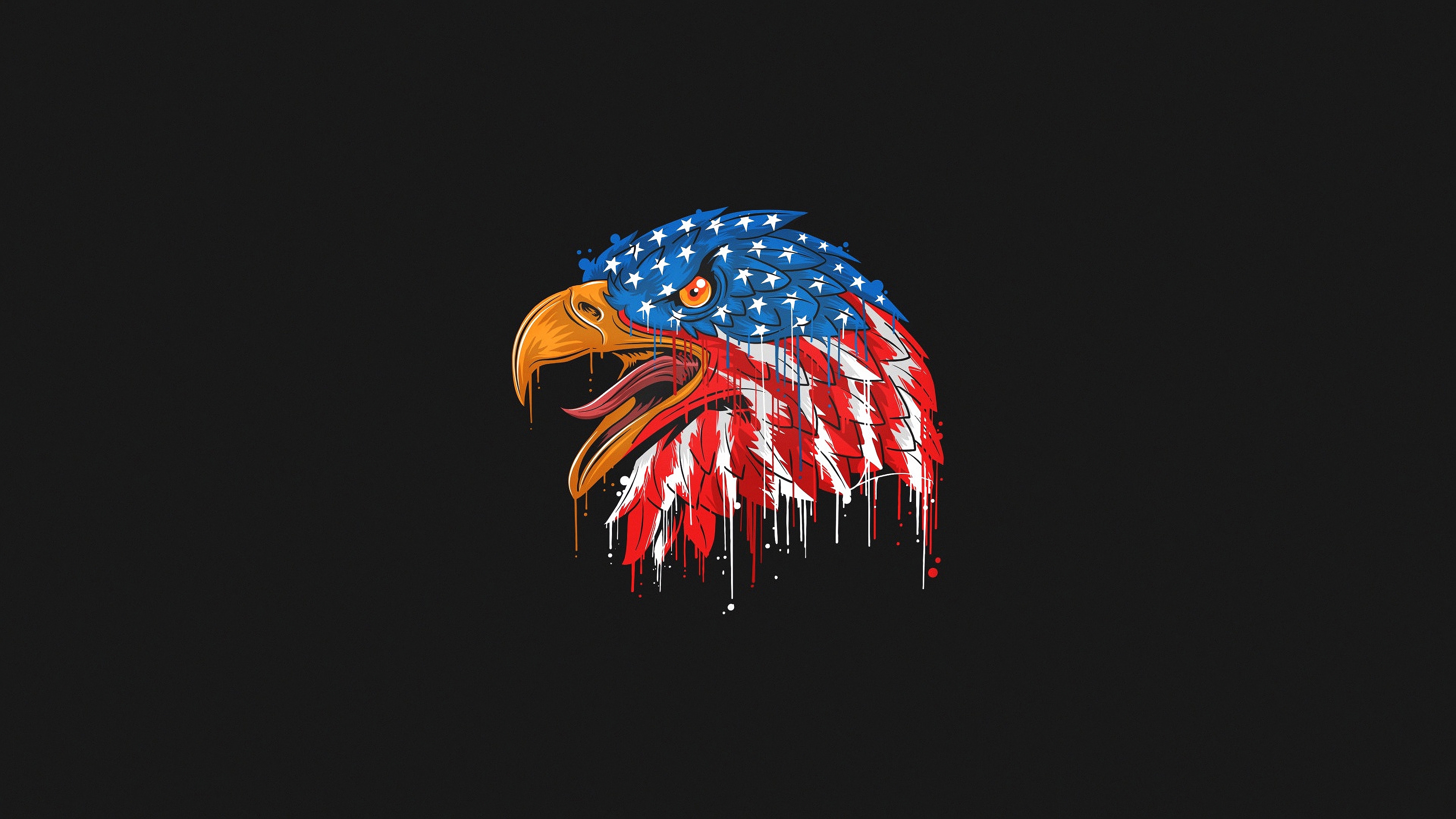 Обои флаг, Орел, флаг Соединенных Штатов, Ара, иллюстрации в разрешении 3840x2160