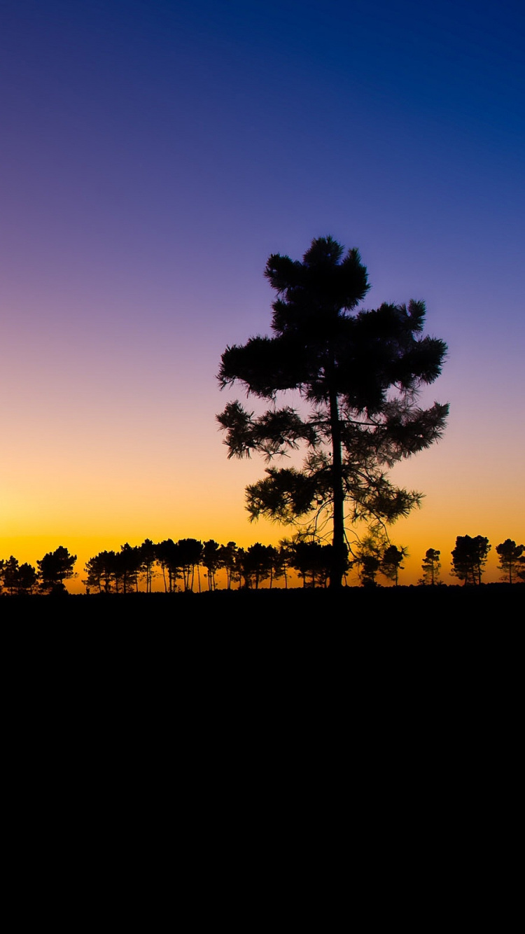 Обои горизонт, закат, послесвечение, восход солнца, рассвет в разрешении 750x1334