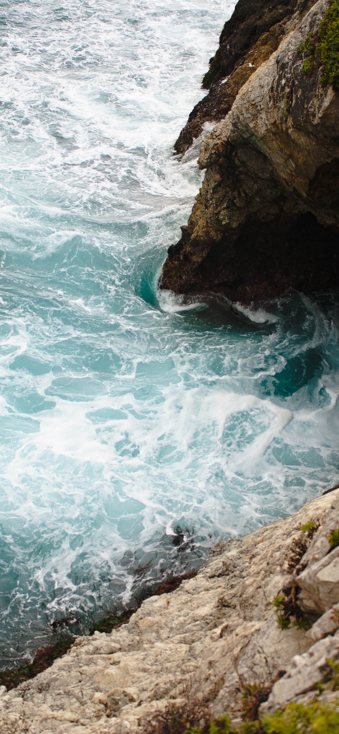 Обои Эпл, всемирная конференция разработчиков, макбук Эйр, вода, растение в разрешении 1125x2436