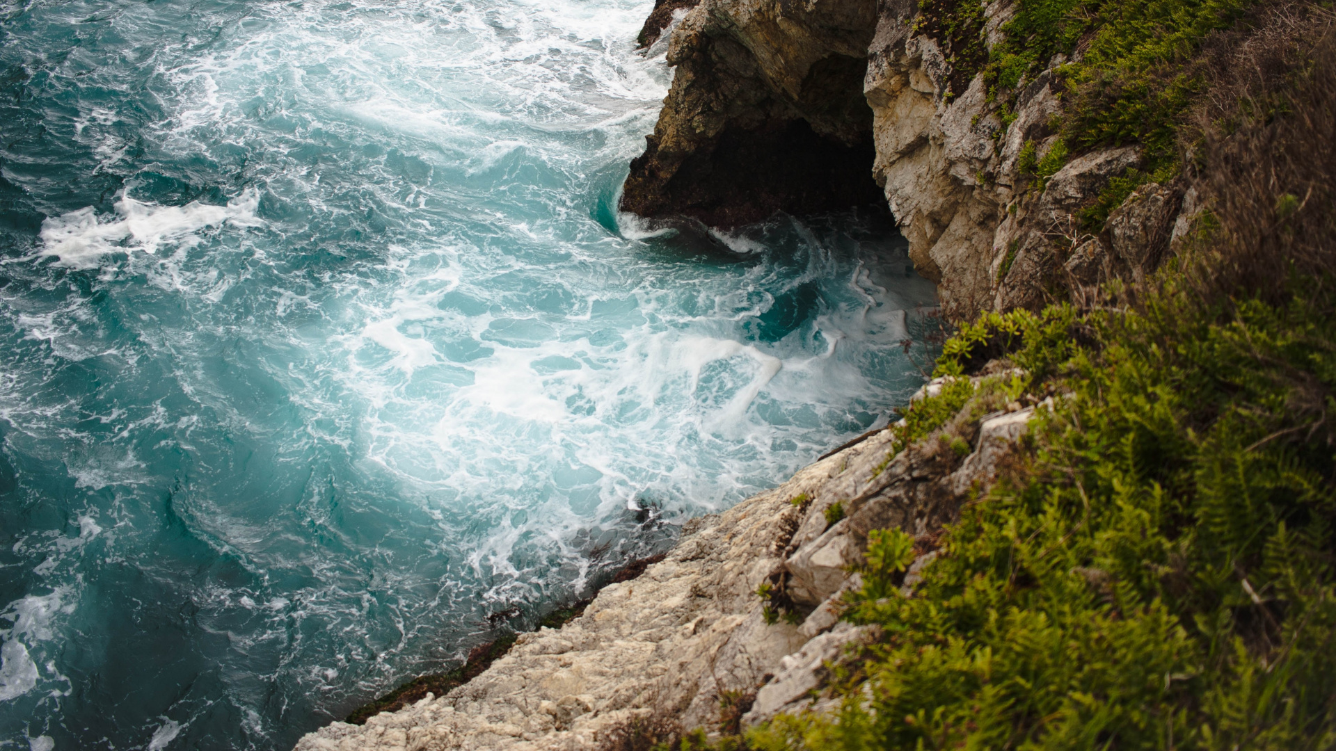 Обои Эпл, всемирная конференция разработчиков, макбук Эйр, вода, растение в разрешении 1920x1080
