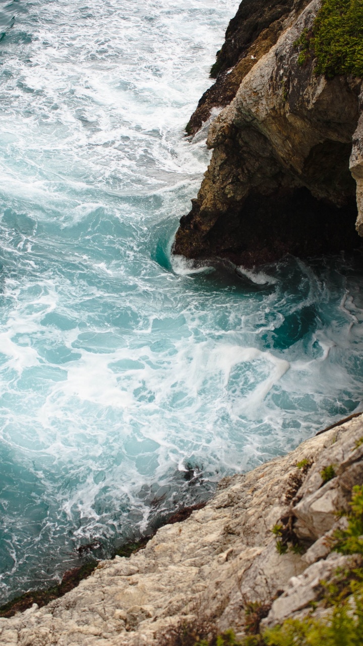 Обои Эпл, всемирная конференция разработчиков, макбук Эйр, вода, растение в разрешении 720x1280