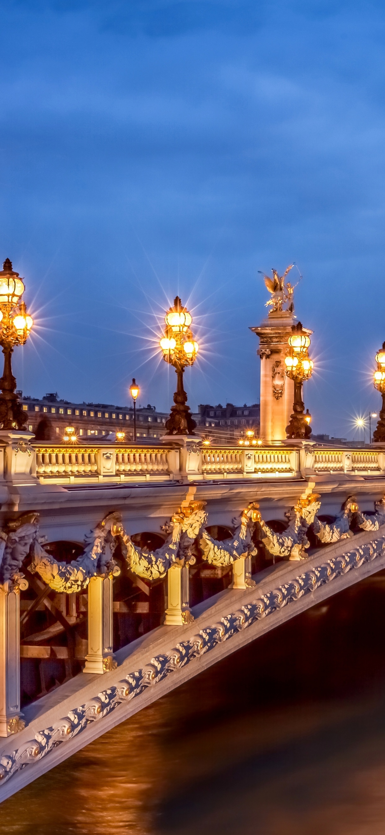 Обои Мост Александра III, Эйфелева башня, сена, мост, ориентир в разрешении 1242x2688