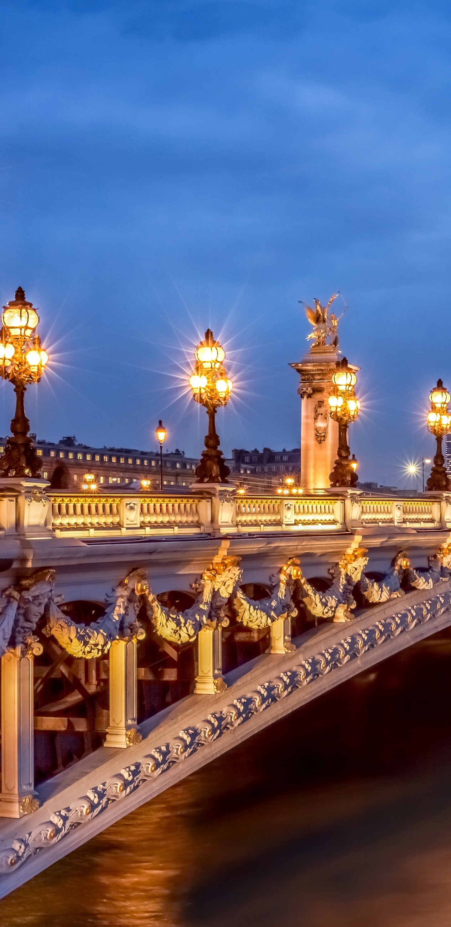 Обои Мост Александра III, Эйфелева башня, сена, мост, ориентир в разрешении 1440x2960