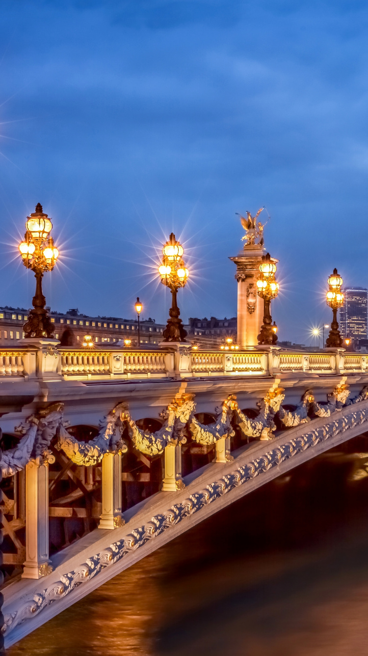 Обои Мост Александра III, Эйфелева башня, сена, мост, ориентир в разрешении 750x1334