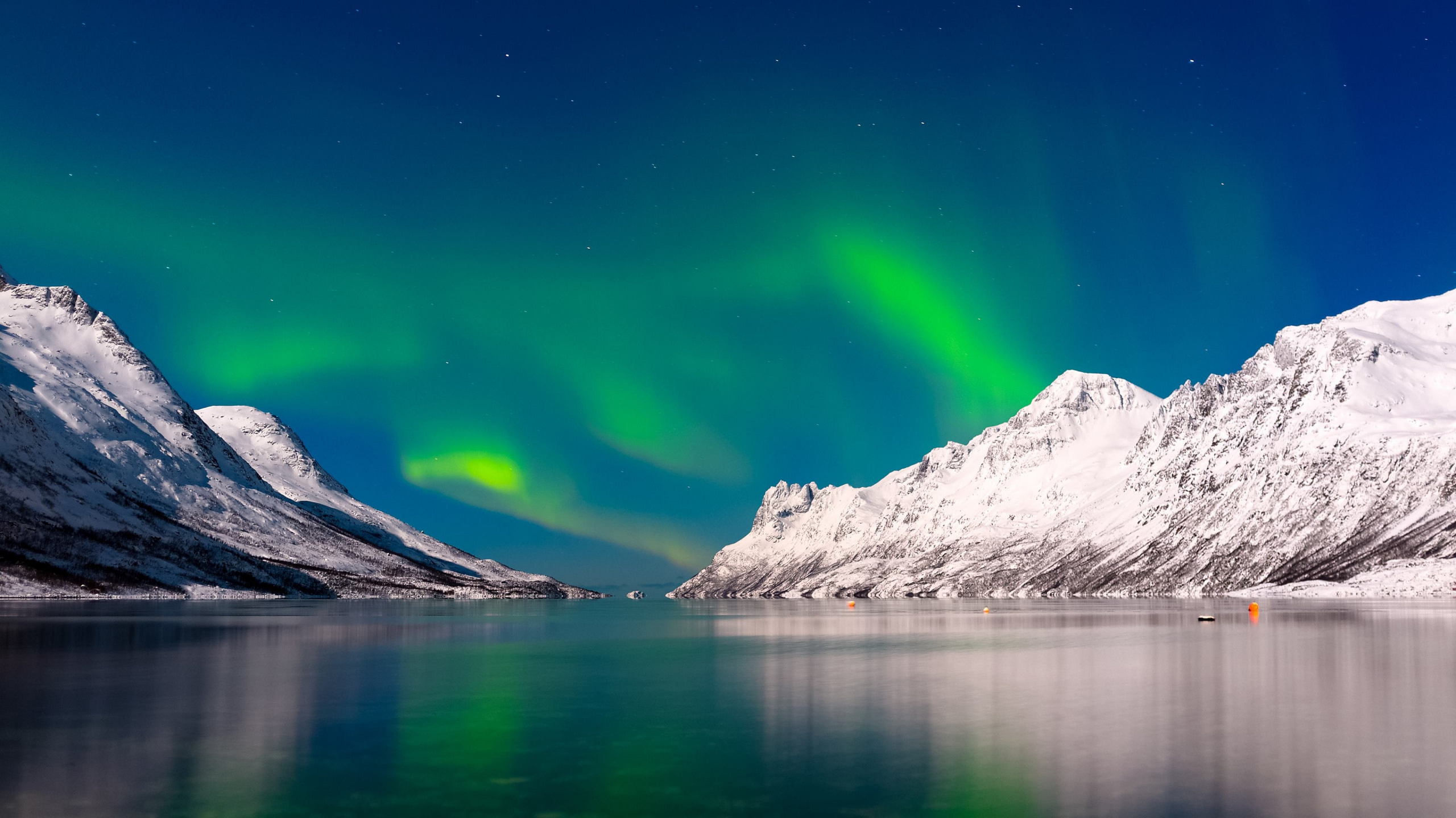 Обои Аврора, природа, фьорд, Арктика, пейзаж в разрешении 2560x1440