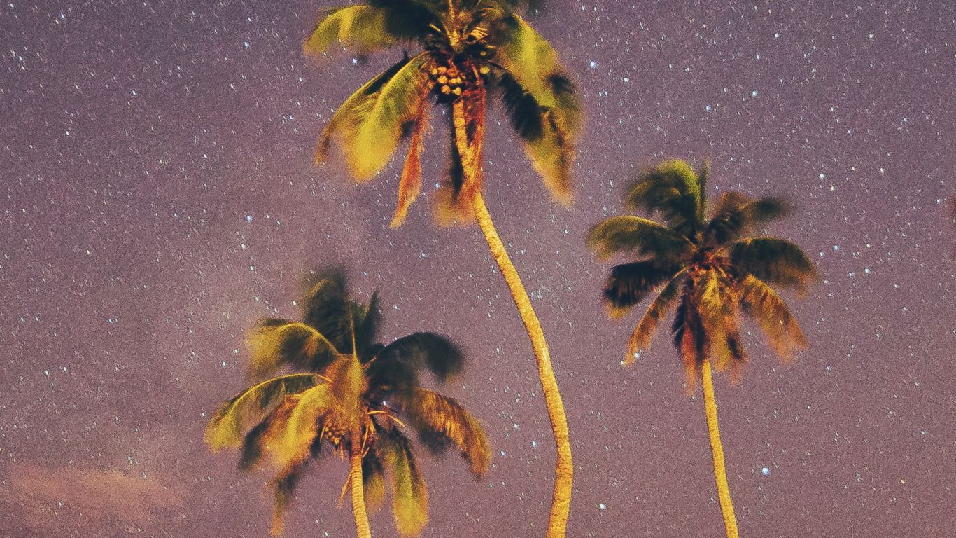 Обои ладонь, природа, дерево, пейзаж, атмосфера в разрешении 1366x768