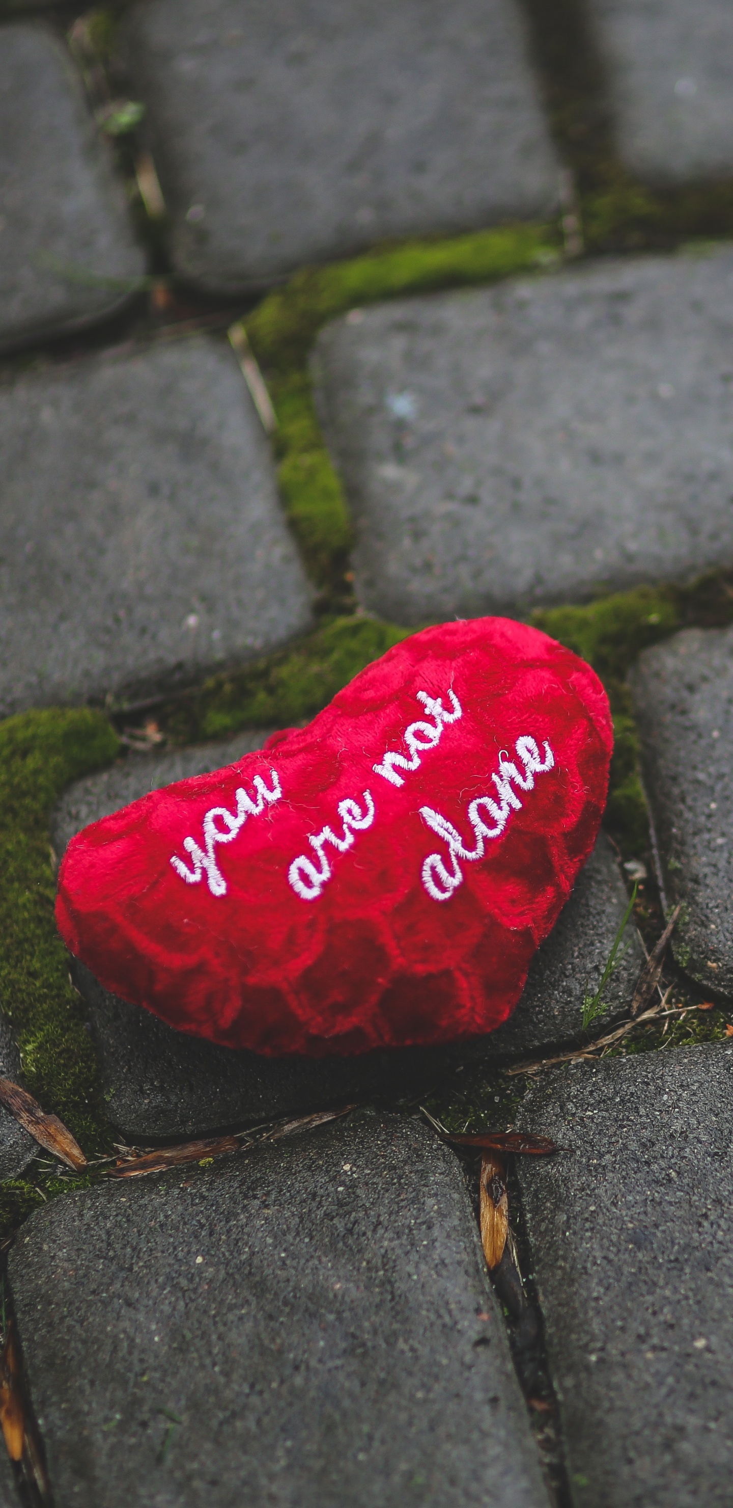 Обои красный цвет, кармин, дорожное покрытие, лист, любовь в разрешении 1440x2960