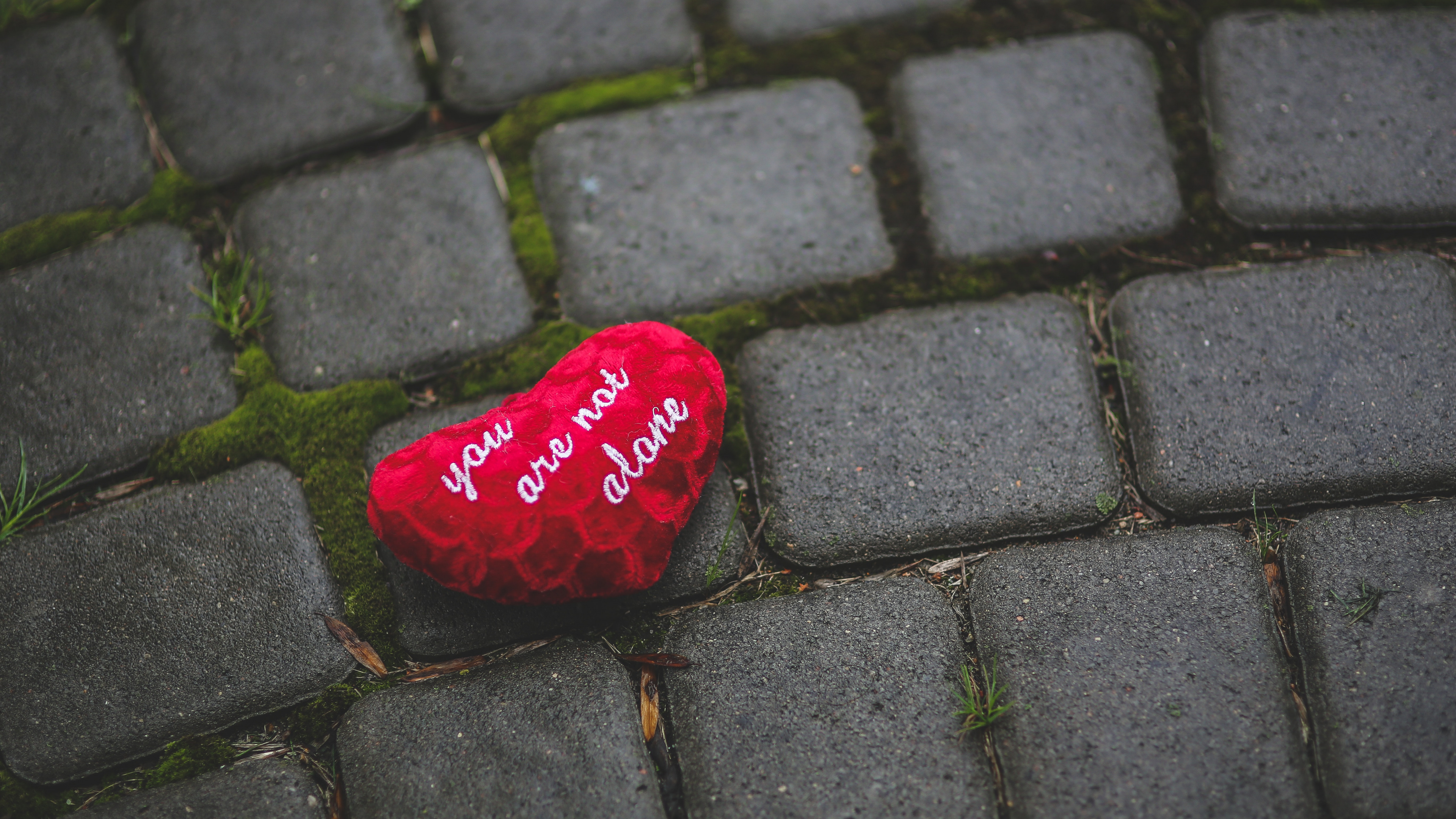 Обои красный цвет, кармин, дорожное покрытие, лист, любовь в разрешении 3840x2160