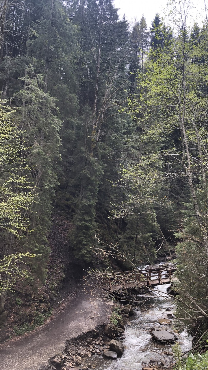 Обои Карпаты, природный заповедник, вода, водоем, дорога в разрешении 720x1280