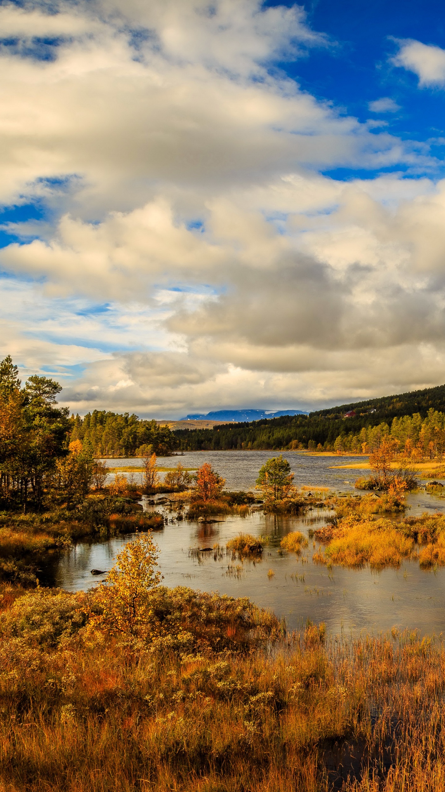 Обои Норвегия, природа, отражение, дикая местность, облако в разрешении 1440x2560