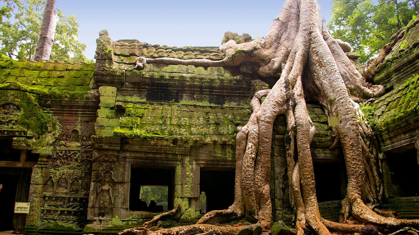 Обои Та Прохм, Ангкор ВАТ, Храм Та Пром, Бантей Срей, храм в разрешении 1366x768