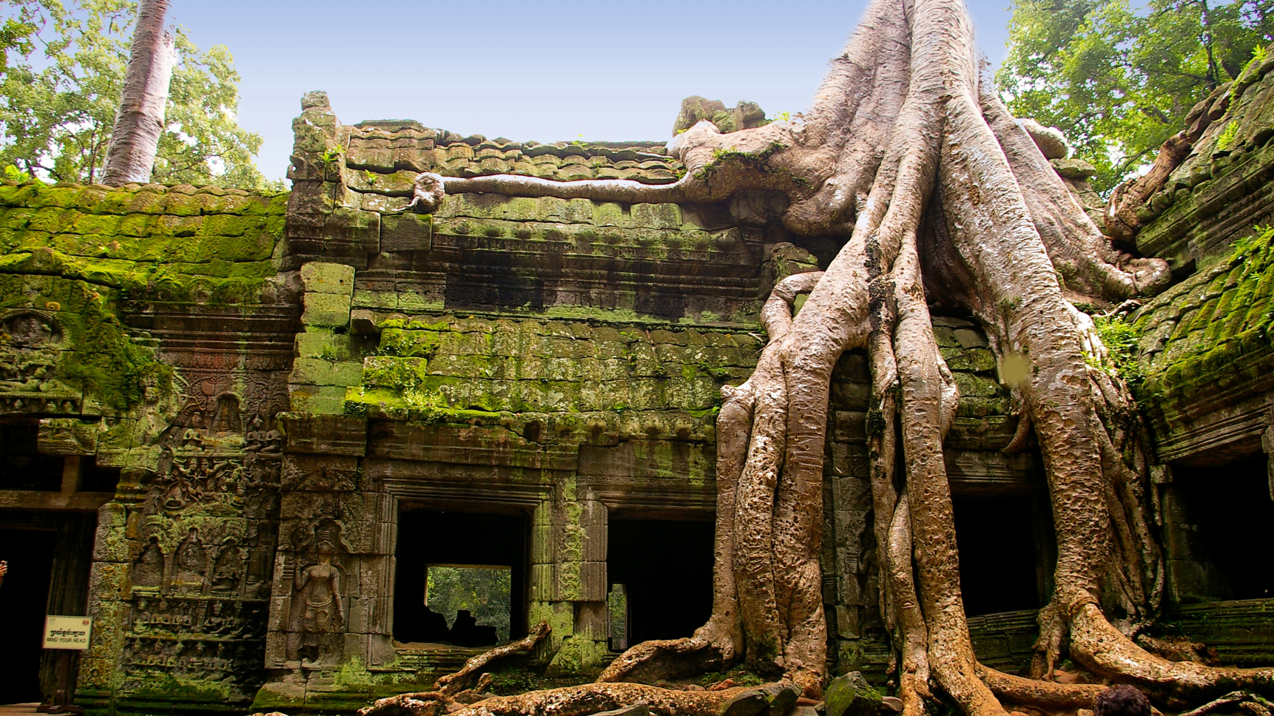 Обои Та Прохм, Ангкор ВАТ, Храм Та Пром, Бантей Срей, храм в разрешении 2560x1440