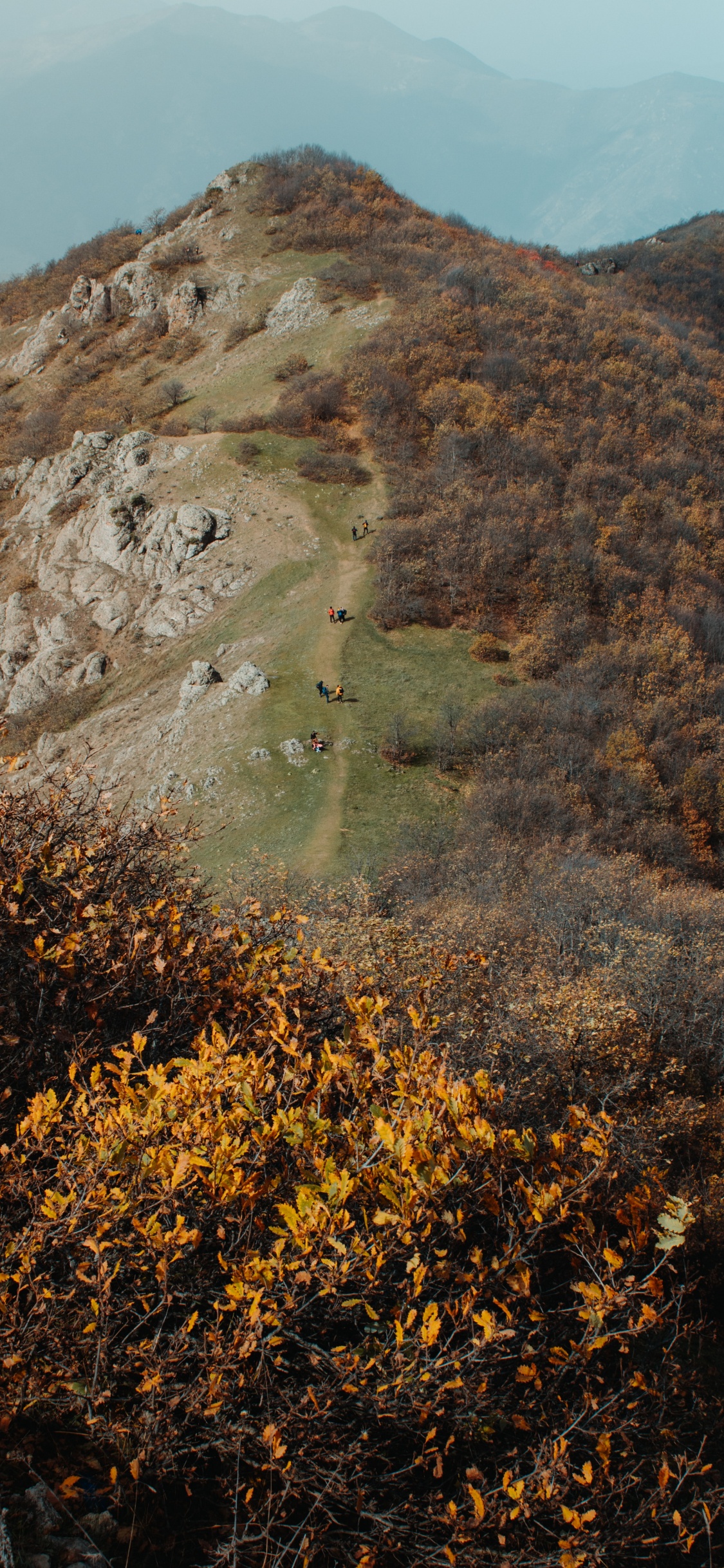Обои дикая местность, холм, лист, рок, растительное сообщество в разрешении 1125x2436