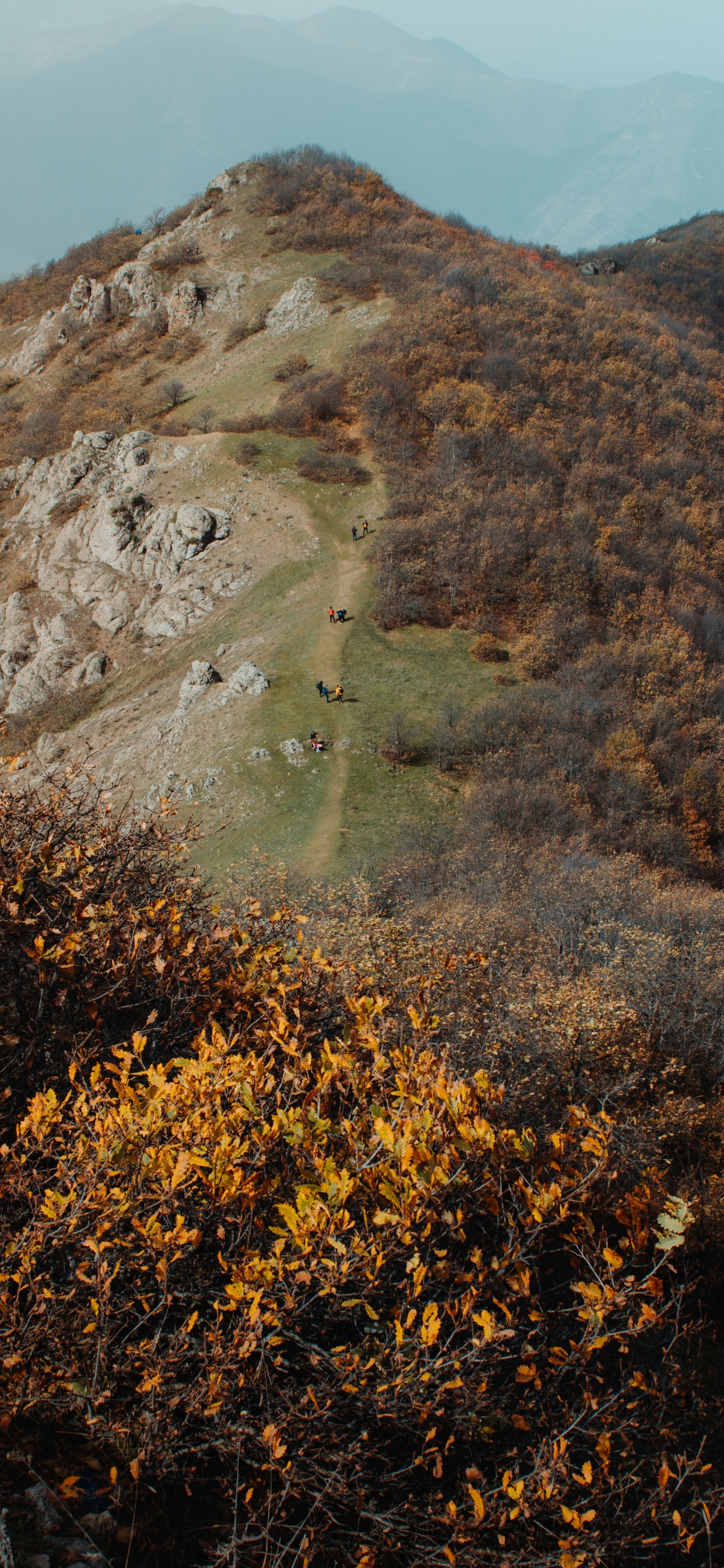 Обои дикая местность, холм, лист, рок, растительное сообщество в разрешении 1242x2688