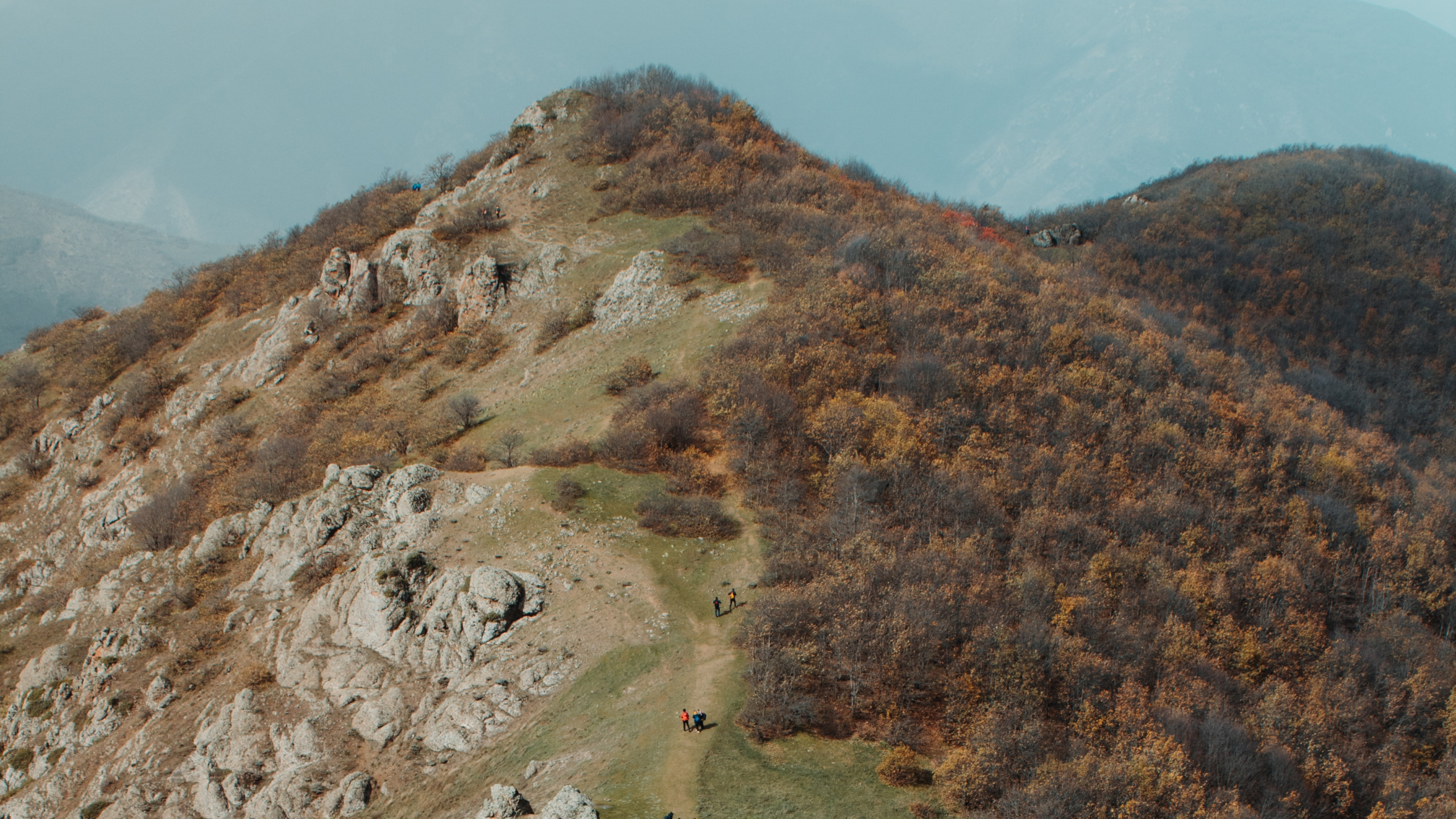 Обои дикая местность, холм, лист, рок, растительное сообщество в разрешении 2560x1440