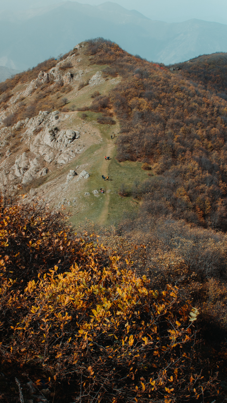Обои дикая местность, холм, лист, рок, растительное сообщество в разрешении 750x1334