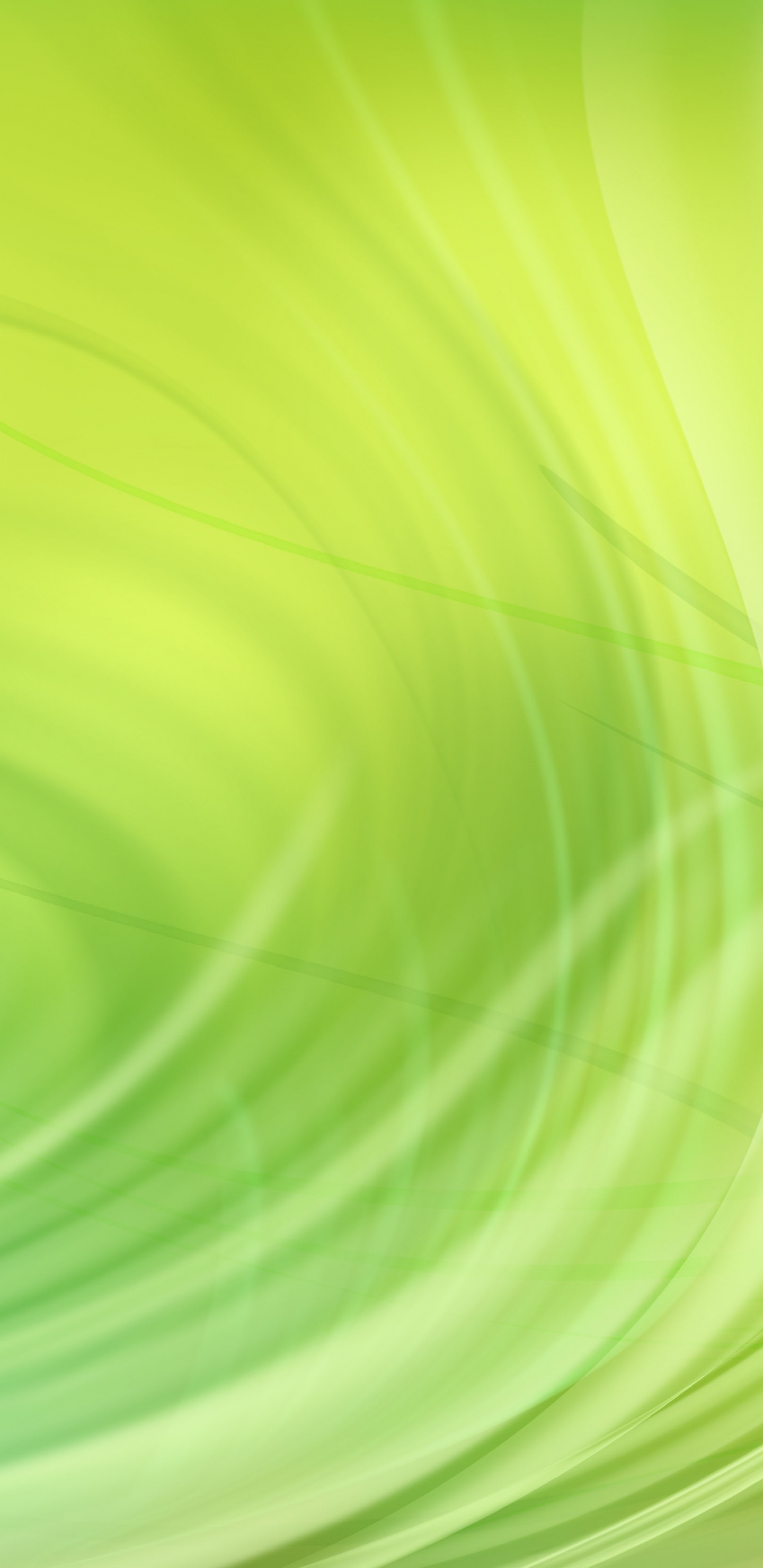 Обои зеленый, свет, желтый, круг, линия в разрешении 1440x2960