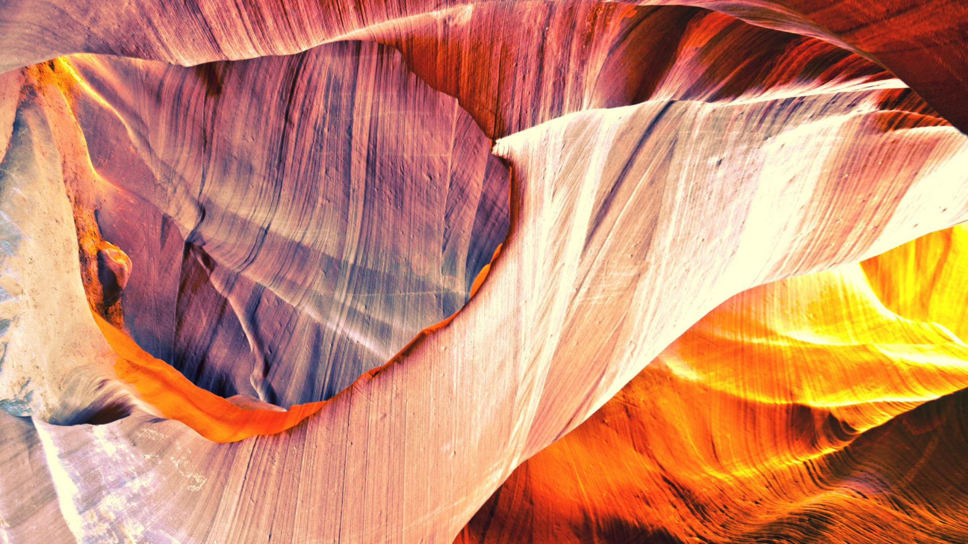 Обои лист, лепесток, желтый, цветок, каньон в разрешении 1920x1080