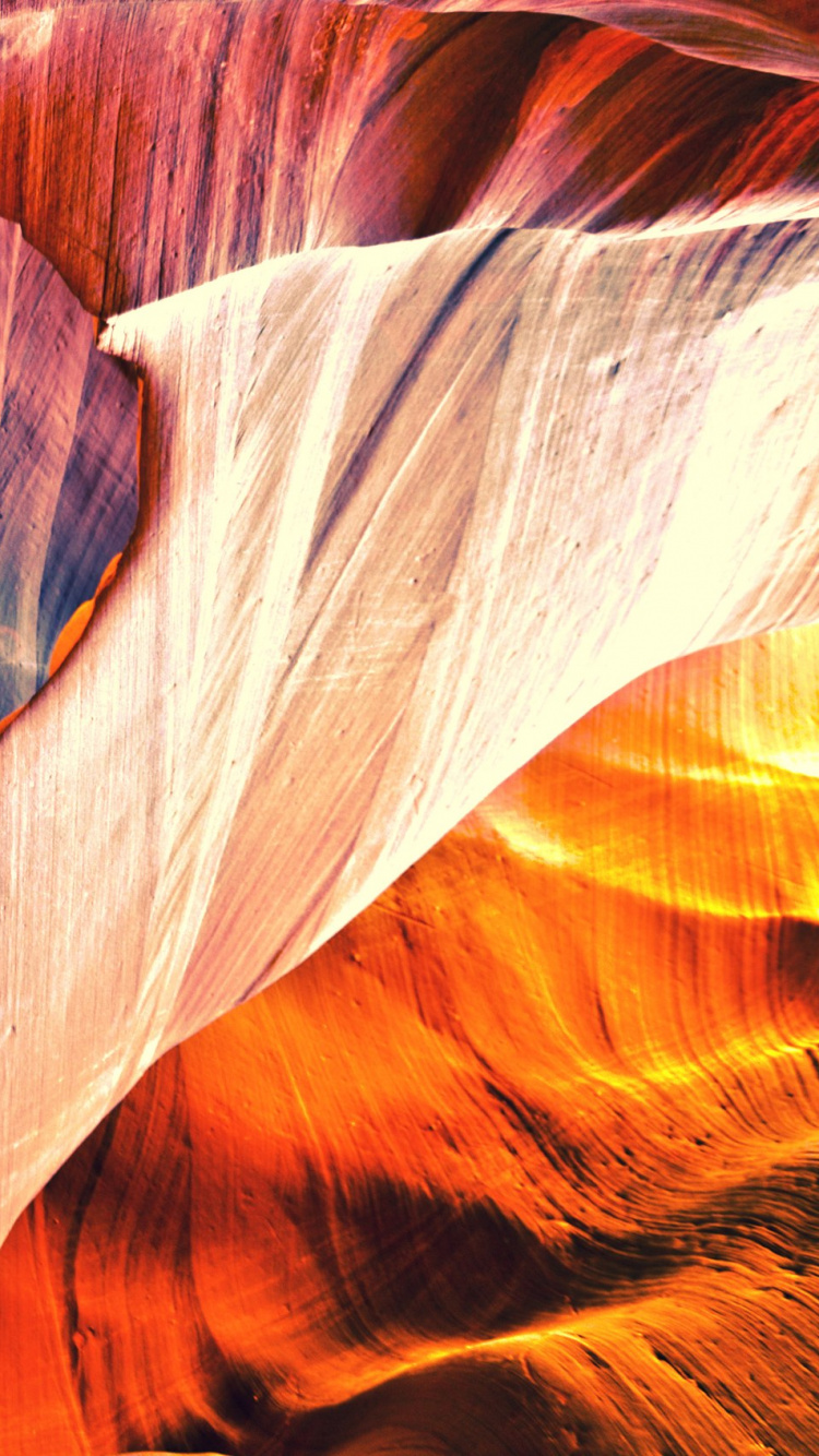 Обои лист, лепесток, желтый, цветок, каньон в разрешении 750x1334