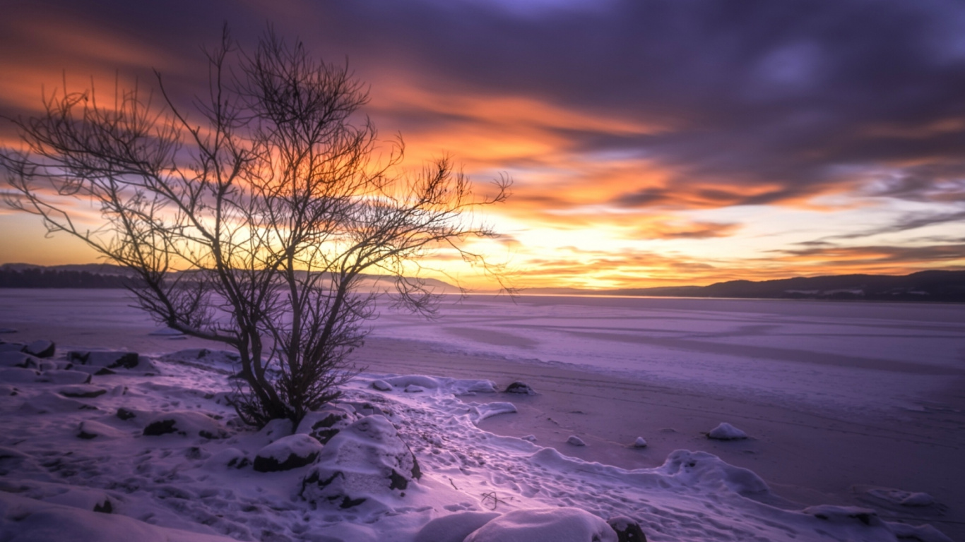 Обои Норвегия, облако, атмосфера, растение, природный ландшафт в разрешении 1366x768