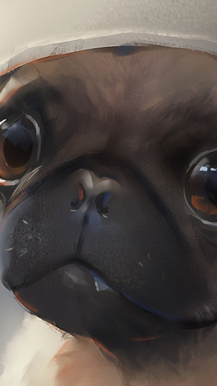 Обои мопс, собака породы, игрушечная собака, морда, Псовые в разрешении 720x1280