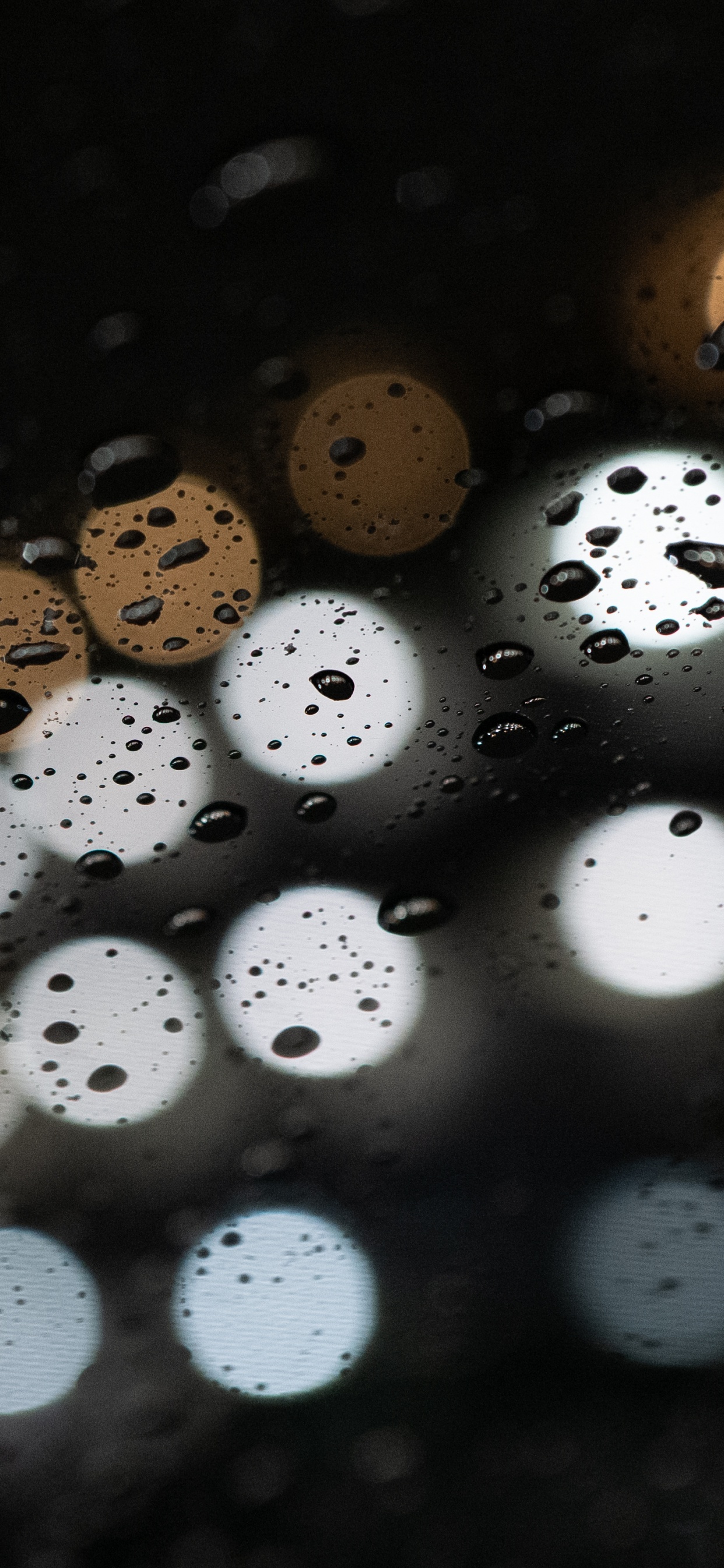 Обои кнопка, круг, отражение, измеритель, макро в разрешении 1242x2688