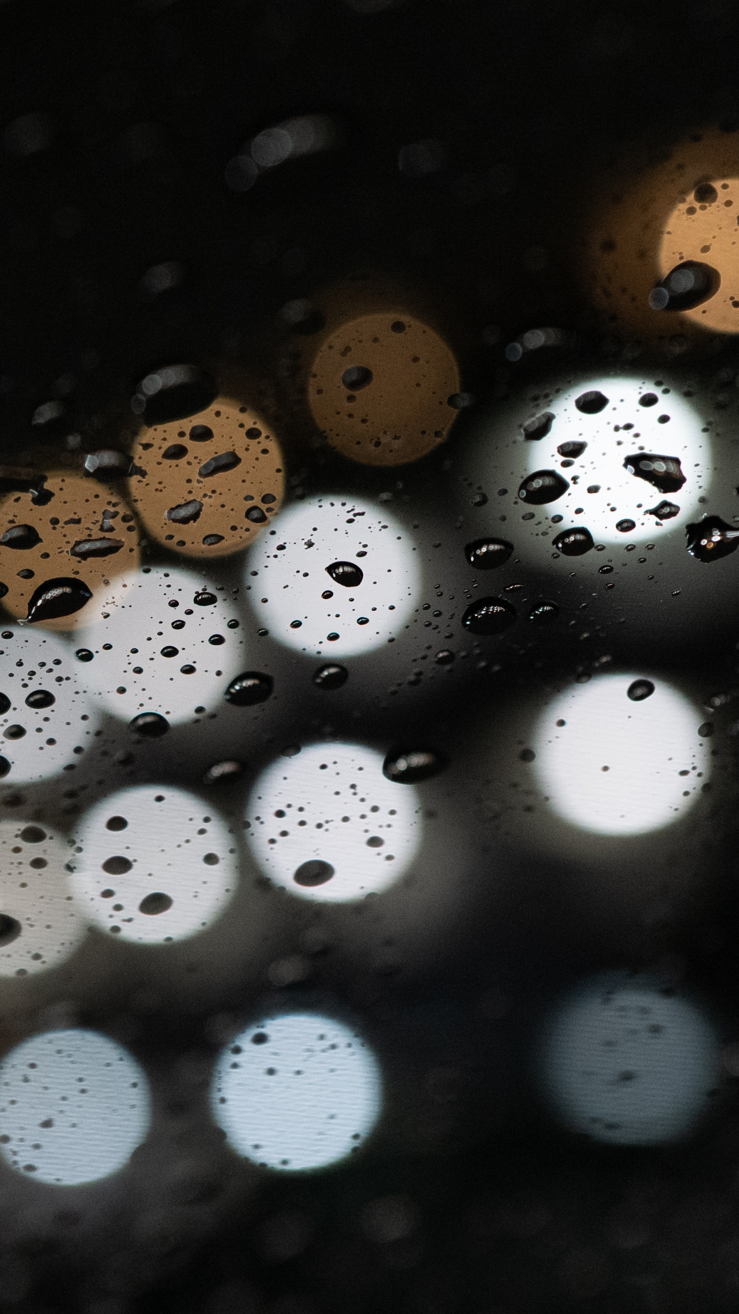 Обои кнопка, круг, отражение, измеритель, макро в разрешении 1440x2560