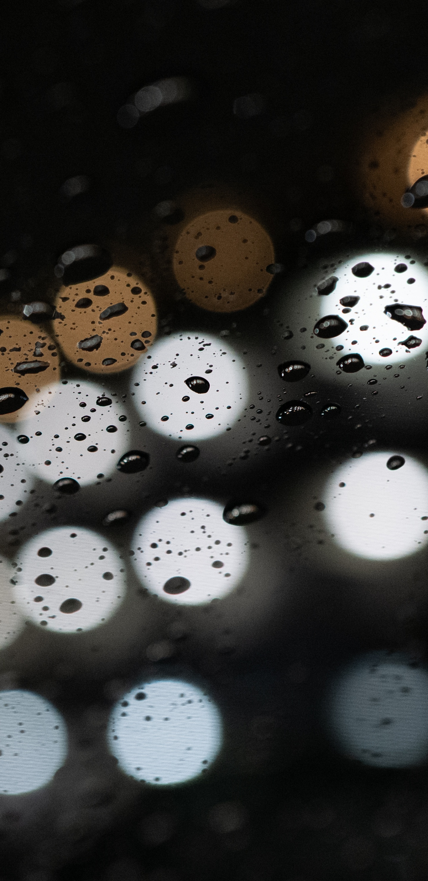 Обои кнопка, круг, отражение, измеритель, макро в разрешении 1440x2960