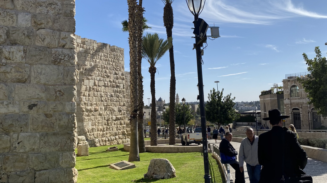 Обои Иерусалим, Пальма, туризм, пальмовые рощи, достопримечательность в разрешении 1366x768