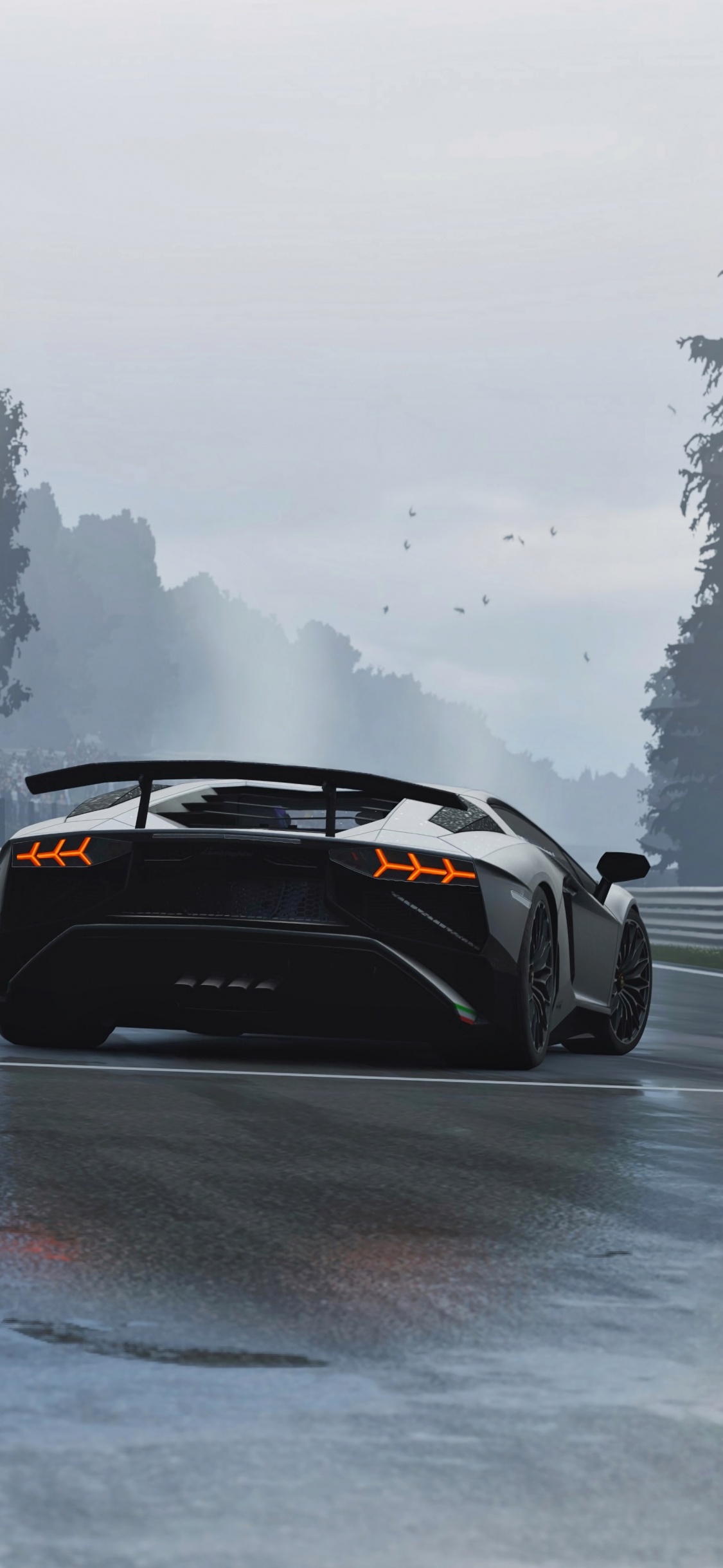 Обои Ламборгини авентадор, Ламборджини, спорткар, Lamborghini Murcilago, авто в разрешении 1125x2436