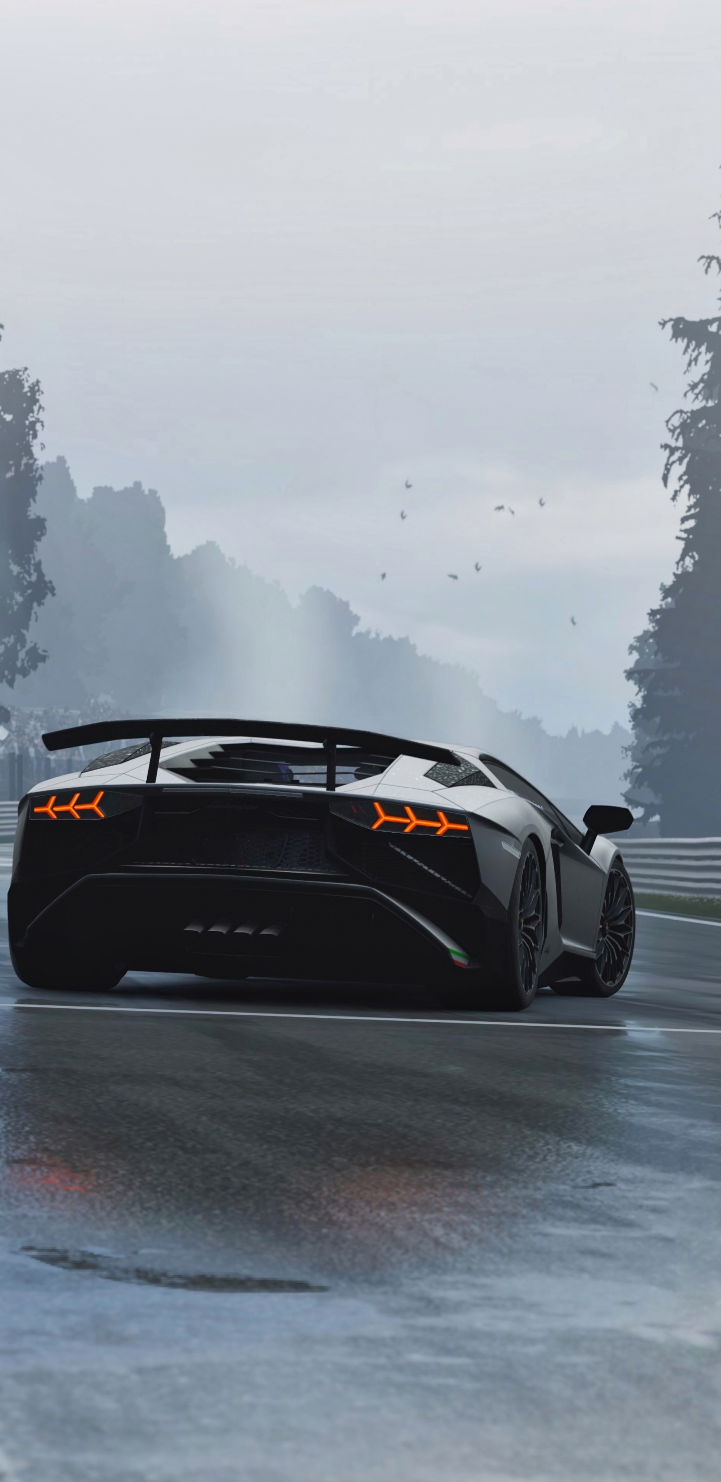 Обои Ламборгини авентадор, Ламборджини, спорткар, Lamborghini Murcilago, авто в разрешении 1440x2960