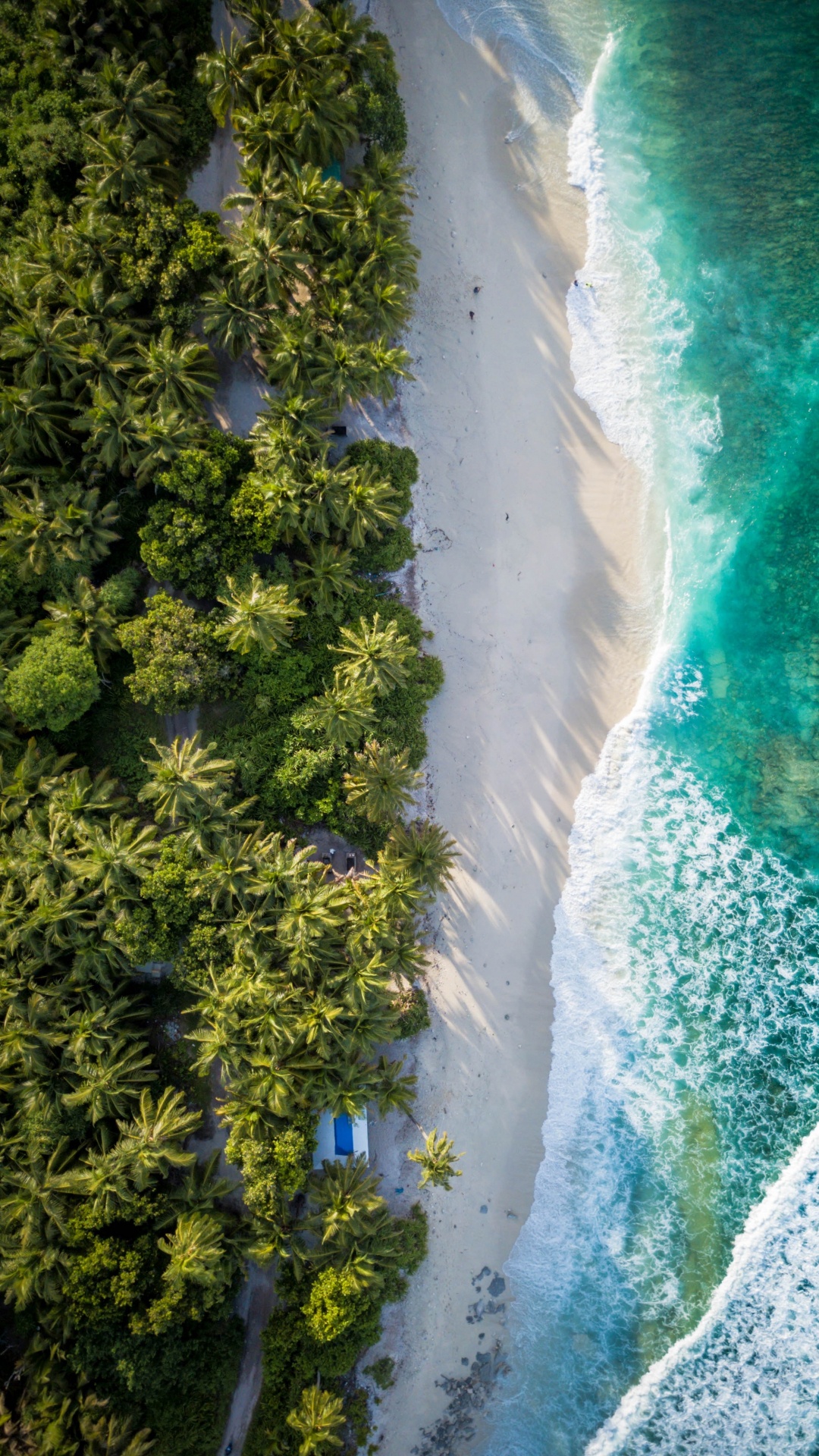 Обои вода, гидроресурсы, растение, природный ландшафт, растительность в разрешении 1080x1920