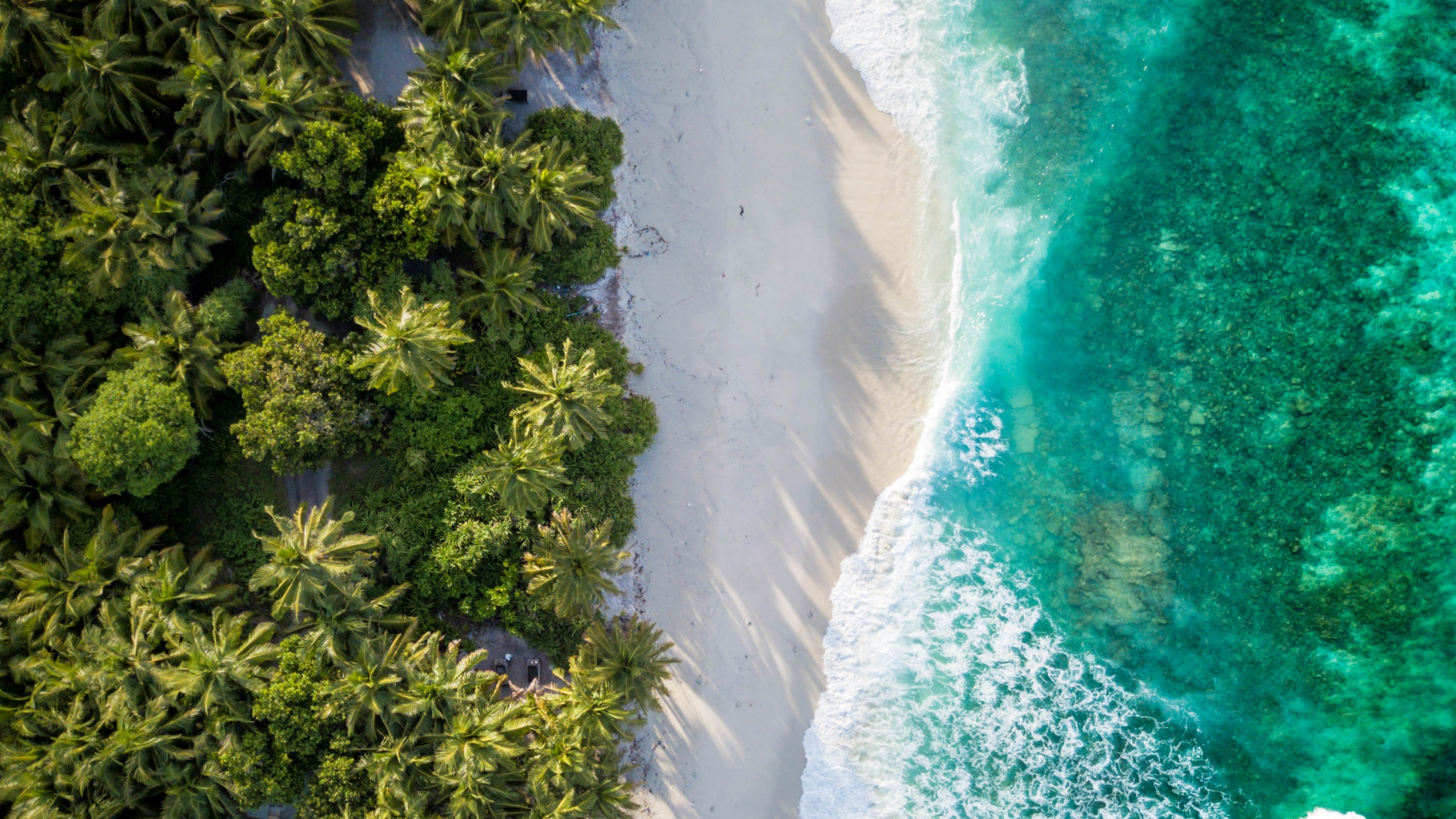 Обои вода, гидроресурсы, растение, природный ландшафт, растительность в разрешении 2560x1440