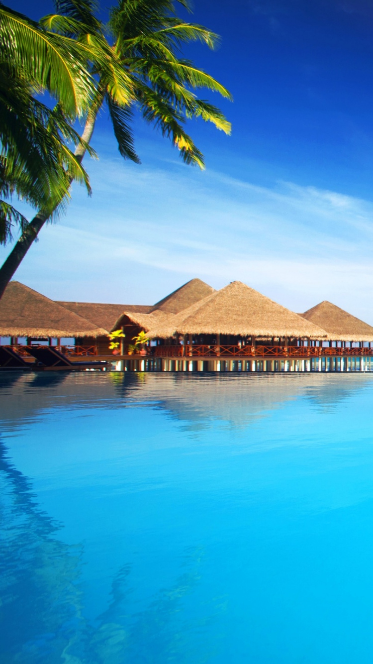 Обои тропическая зона, курортный город, море, океан, Карибский бассейн в разрешении 750x1334