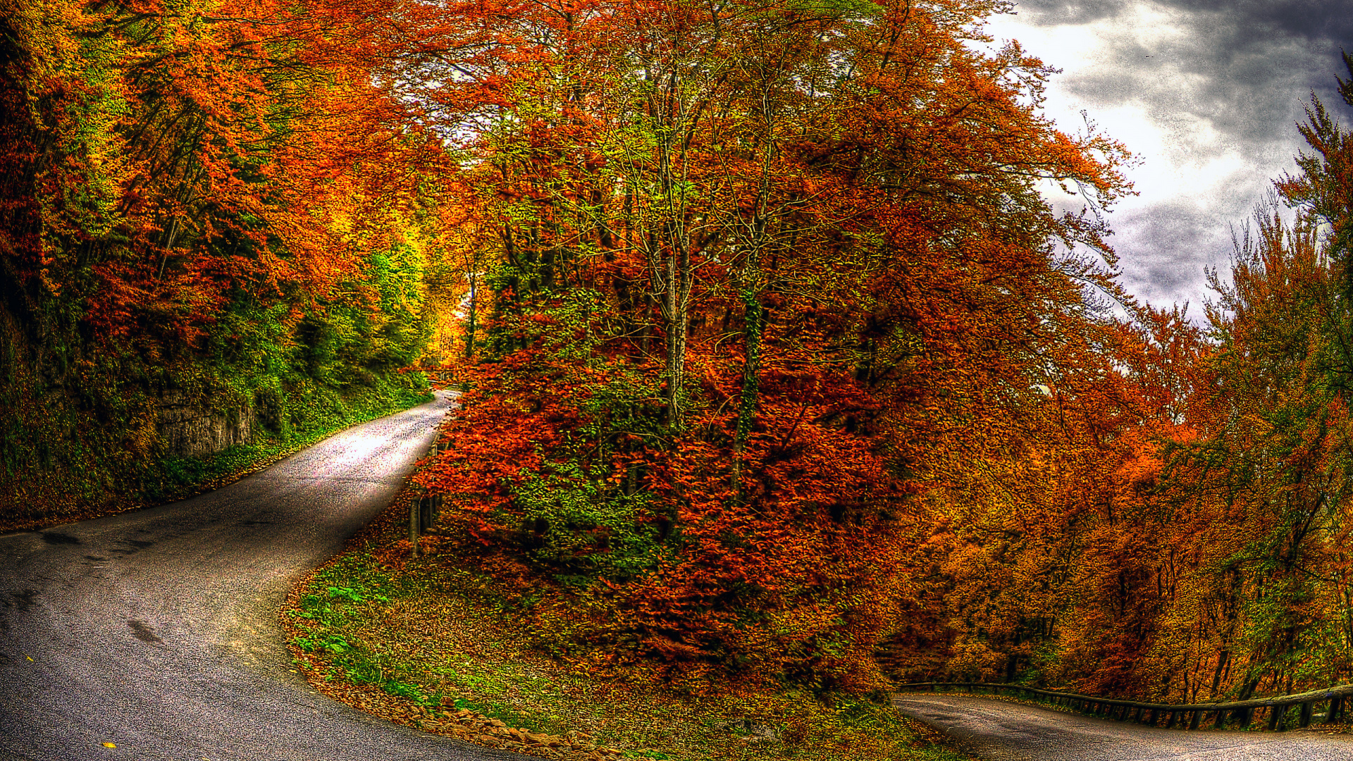 Обои осень, дерево, лист, природа, листопадные в разрешении 1920x1080