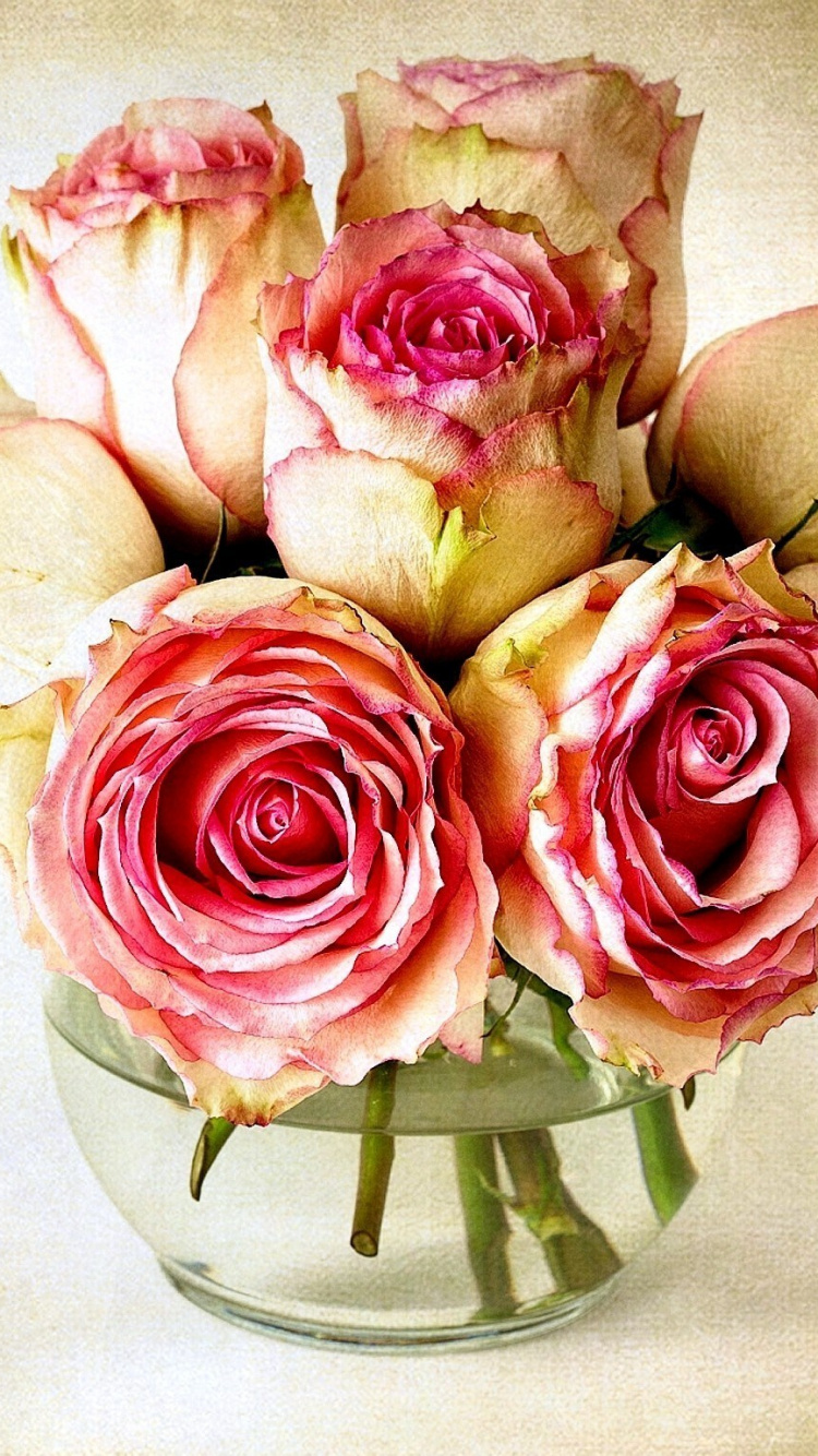 Обои Роза, цветочный букет, ваза, сад роз, срезанные цветы в разрешении 750x1334